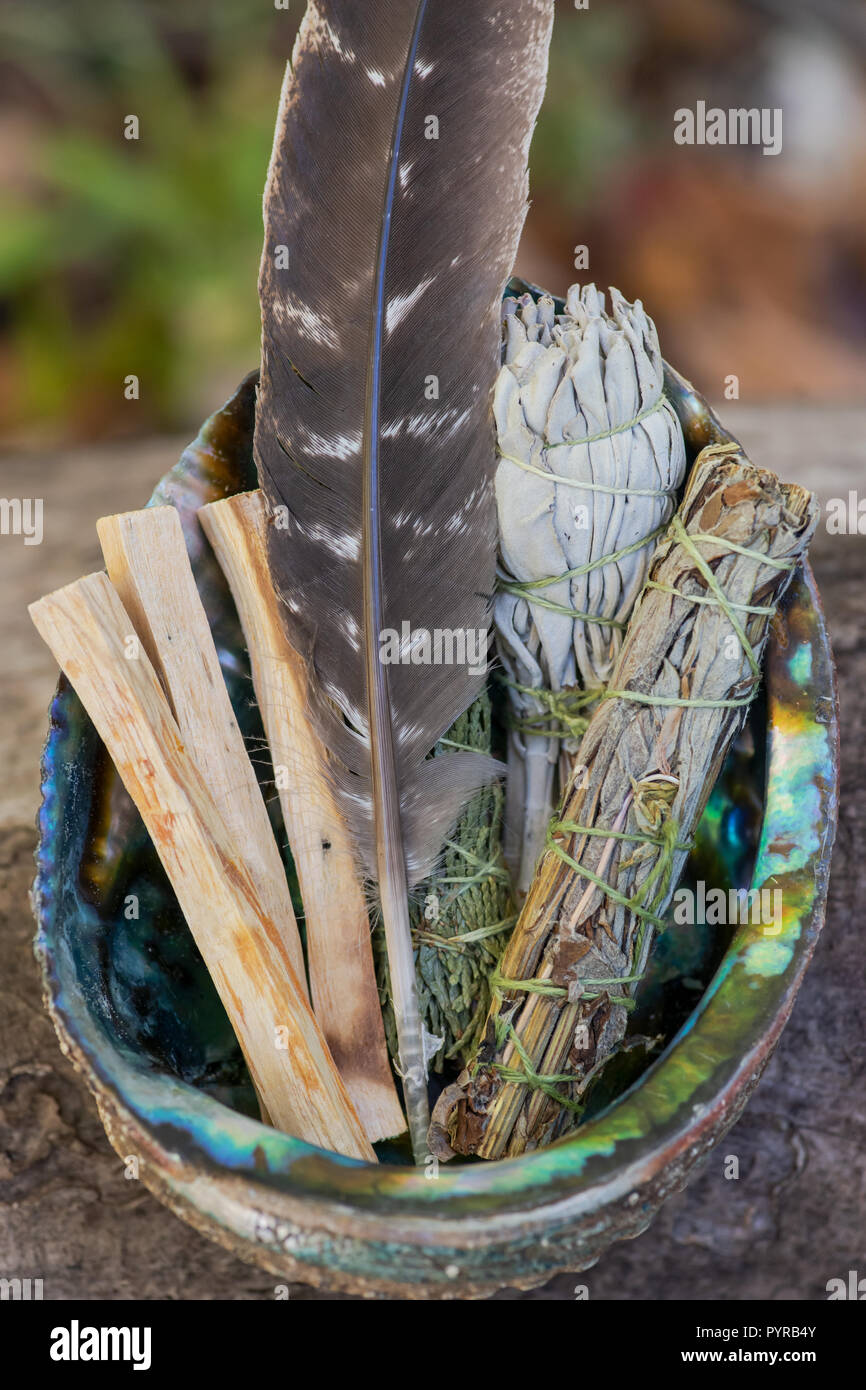 Smudging kit - Grade A barred turkey smudging feather, Peruvian Palo Santo  holy wood sticks, Wildcrafted dried white sage, Mugwort, and Siskiyou Stock  Photo - Alamy