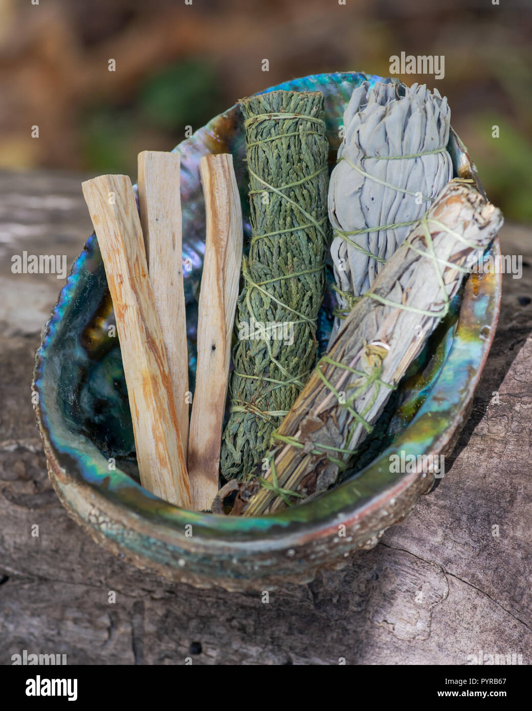 https://c8.alamy.com/comp/PYRB67/smudge-kit-palo-santo-sticks-wildcrafted-dried-white-sage-salvia-apiana-mugwort-artemisia-vulgaris-and-siskiyou-cedar-PYRB67.jpg