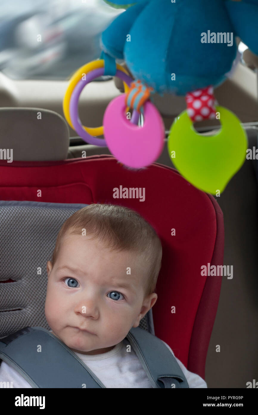 Baby boy sitting in child car seat with rattle hanging from ceiling. He is watching toons with tablet on headrest Stock Photo