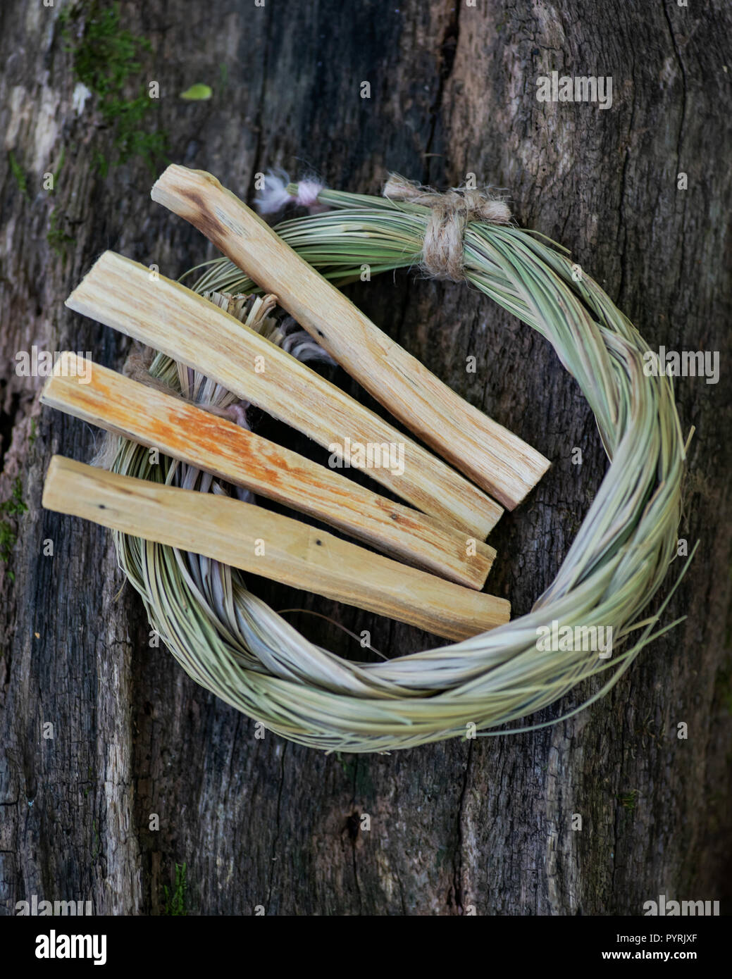 Peruvian Palo Santo holy wood incense sticks and Wildcrafted dried Sweetgrass (Hierochloe odorata) wrapped in organic cotton string on a tree bark Stock Photo