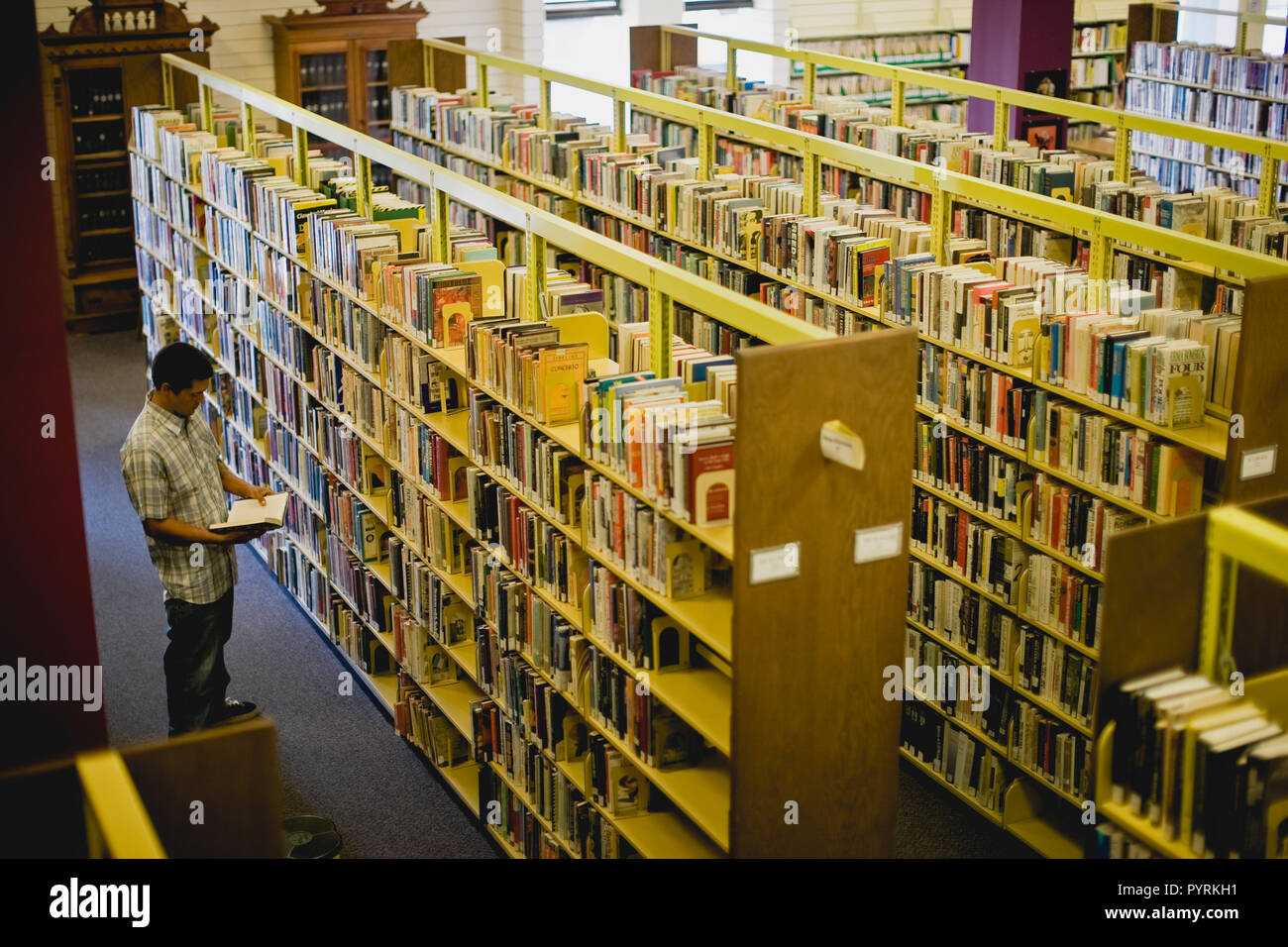 Teenage boy reading a book in a library Stock Photo Alamy