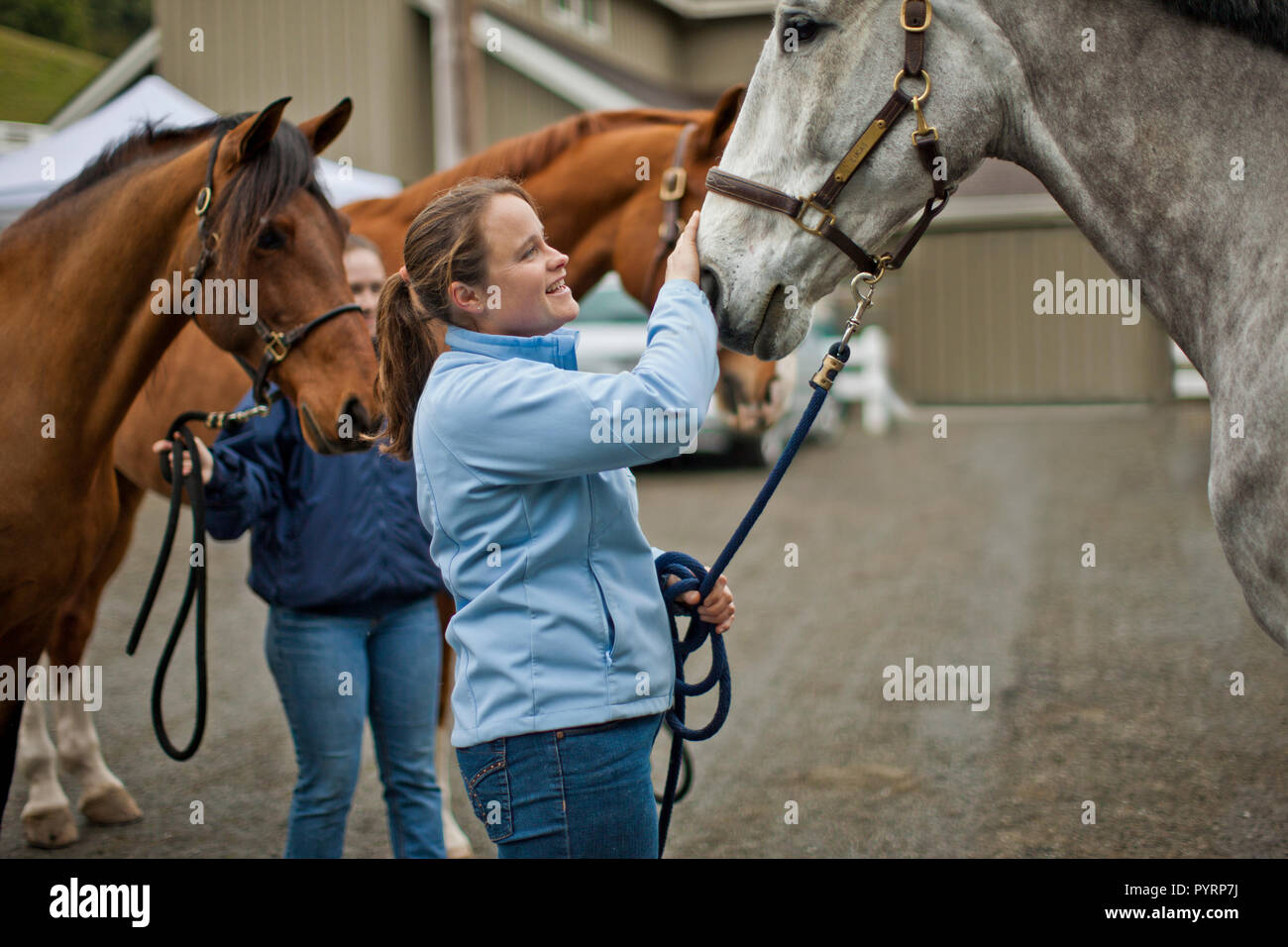 Smiling young woman affectionately petting her horse on the nose. Stock Photo