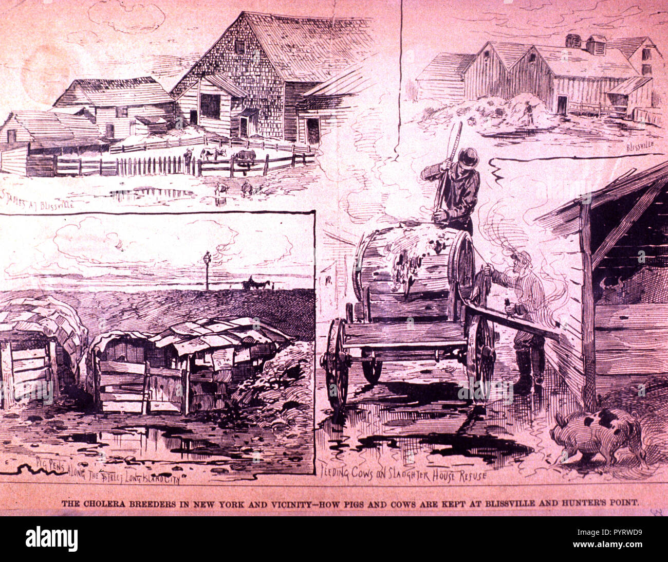 Slaughter house 19th century hires stock photography and images Alamy