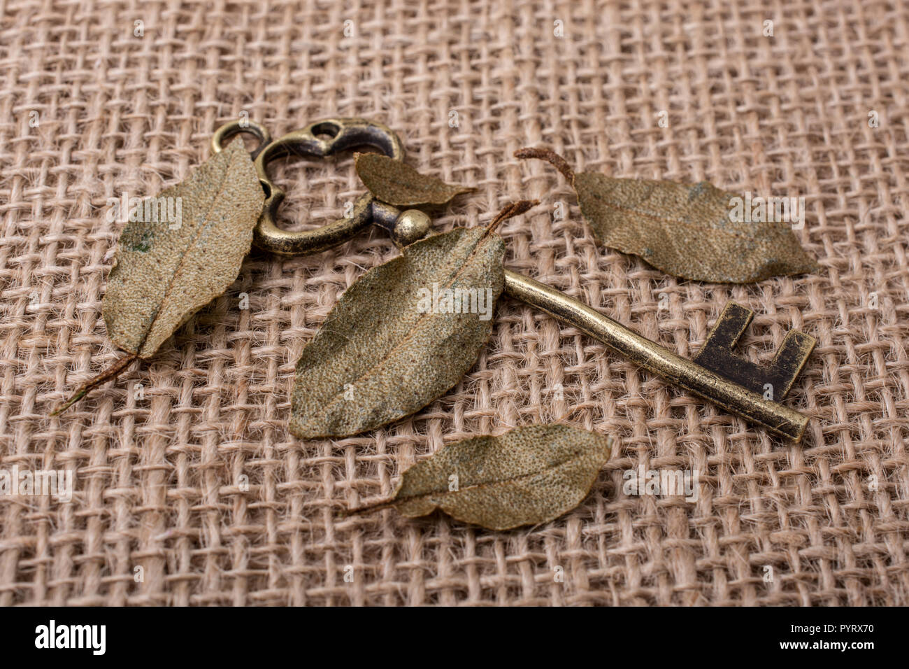 Plenty of Retro styled golden color keys Stock Photo - Alamy