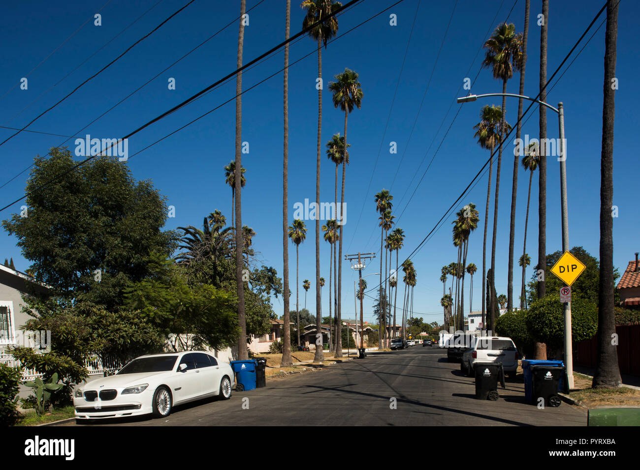 West Adams neighborhood, Palm Trees, Los Angeles, California, USA Stock