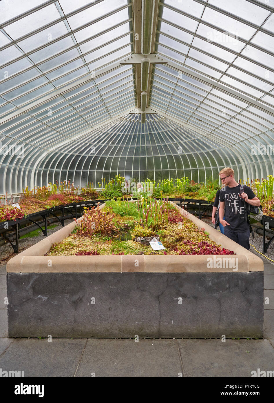 A Couple walking through the Pitcher Plant section of the Glasgow Botanical Gardens Greenhouse, in Glasgow, Scotland, UK. Stock Photo