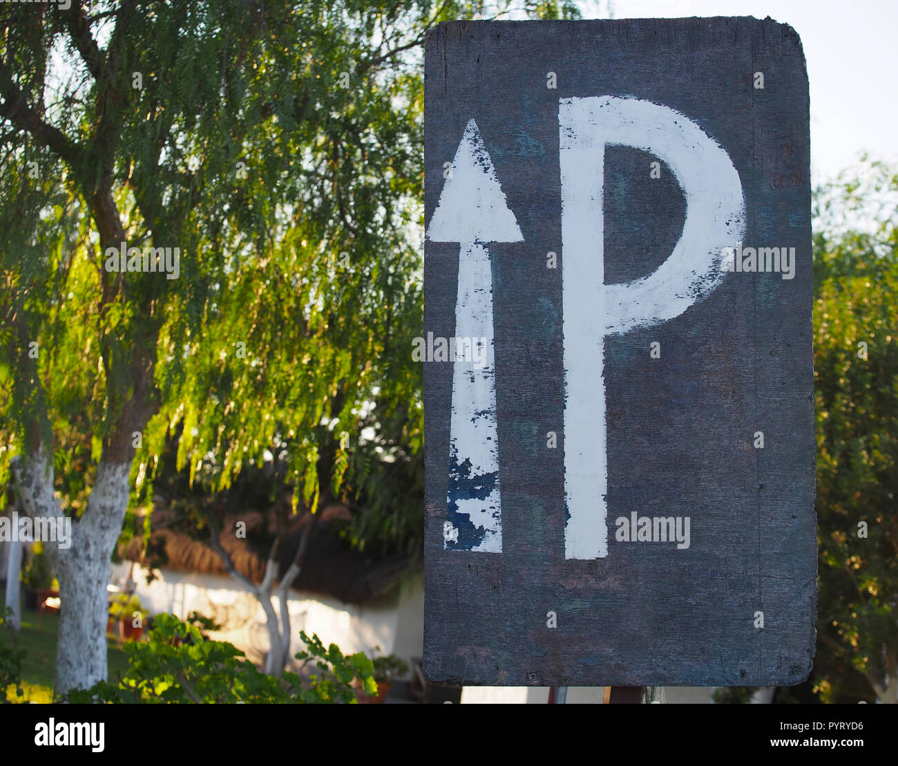 Parking sign in the park.Parking sign. Vehicles take up way too much space in cities. Metropolis parking problems. Crowded parking. Stock Photo