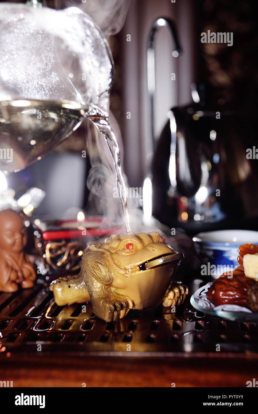Three lipped toad hi-res stock photography and images - Alamy