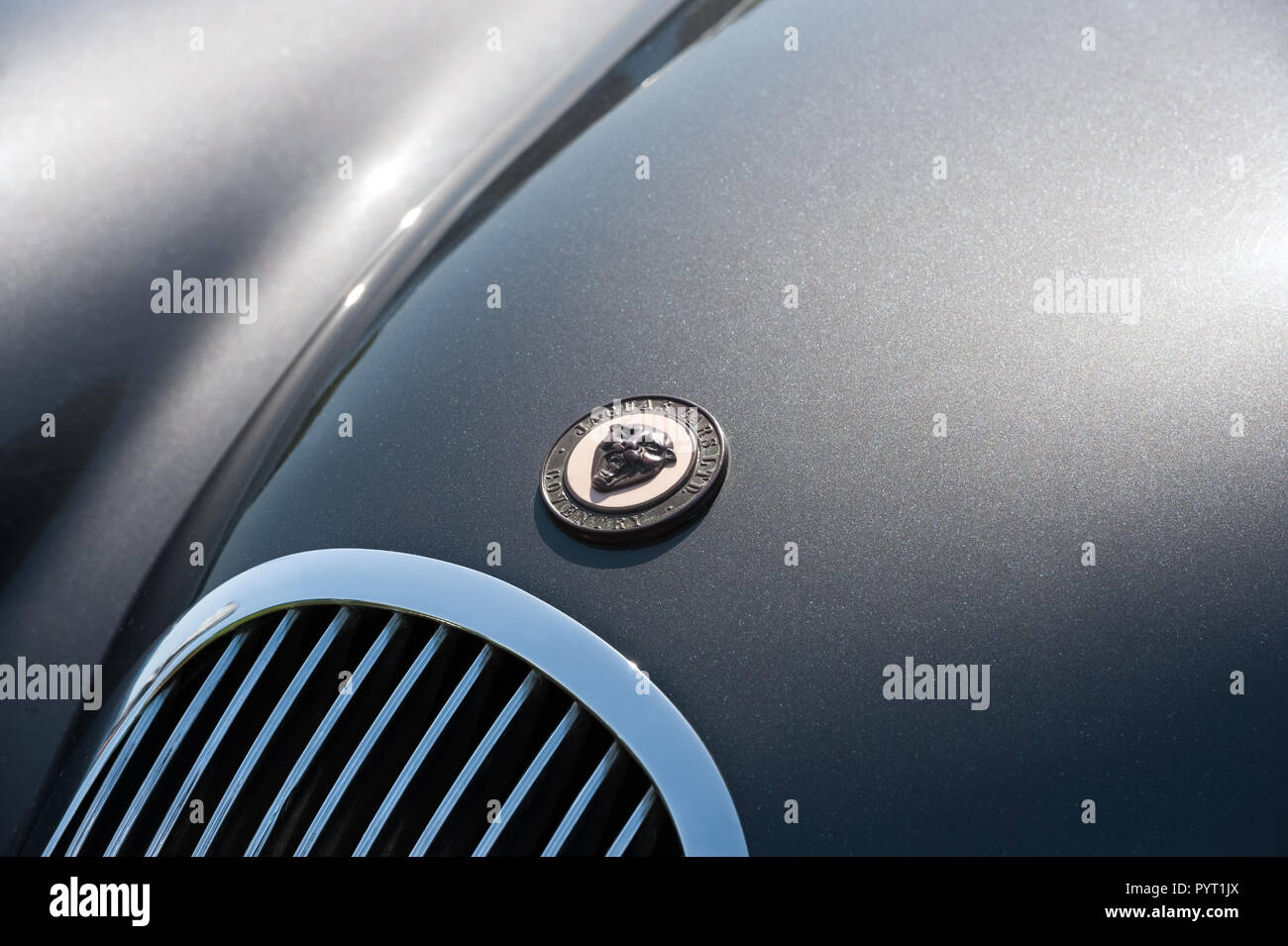 Yateley, UK - May 7, 2018: Close-up vehicle insignia and metallic paintwork on a vintage Jaguar automobile. Stock Photo