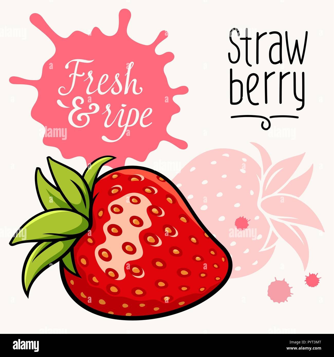 Vector illustration of ripe juicy strawberry. Concept for the Farmers market. Idea for the label design. Organic, local grown products Stock Vector