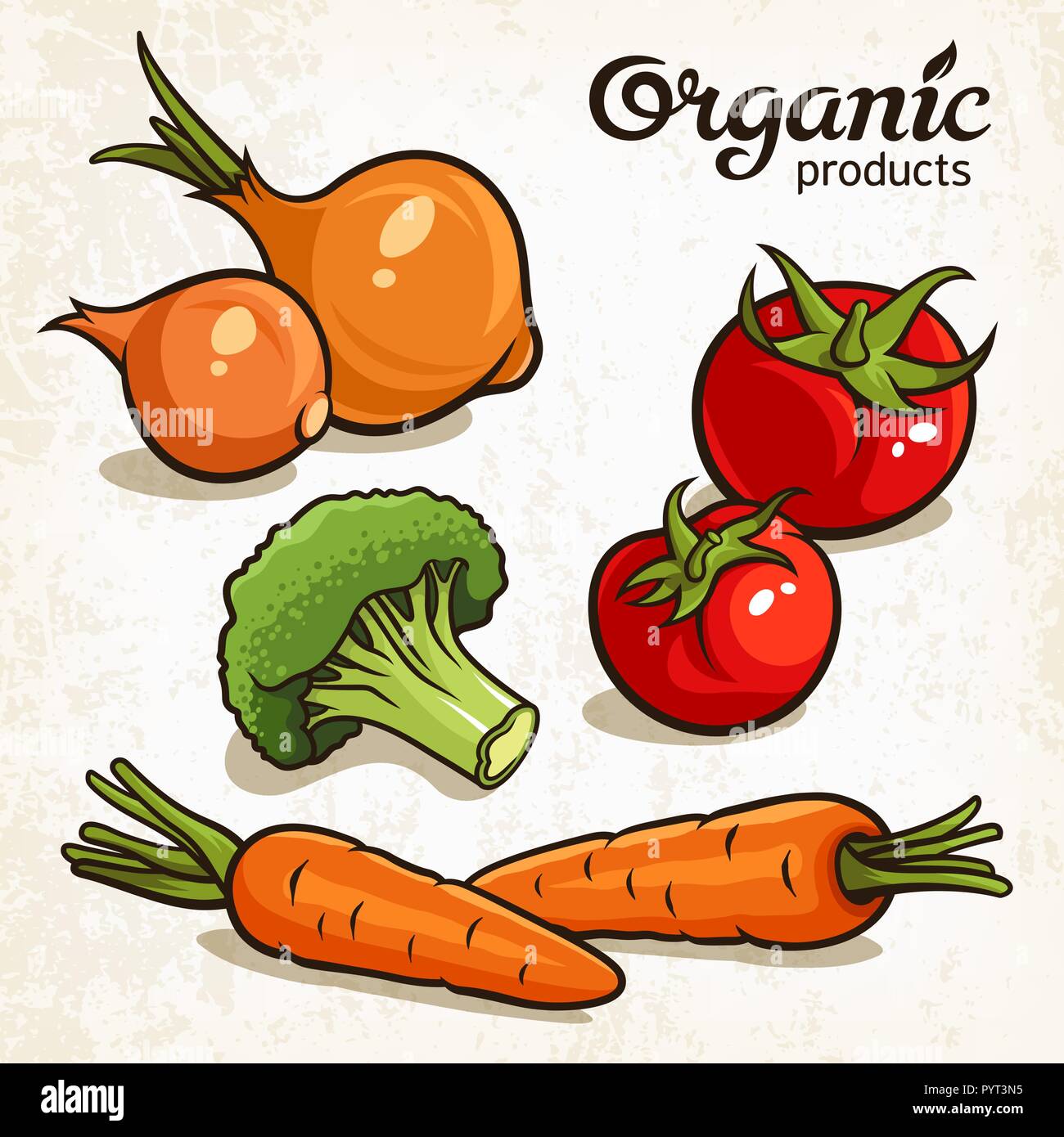 Vector illustration of vegetables: carrot, onion, tomatoes, broccoli Stock Vector