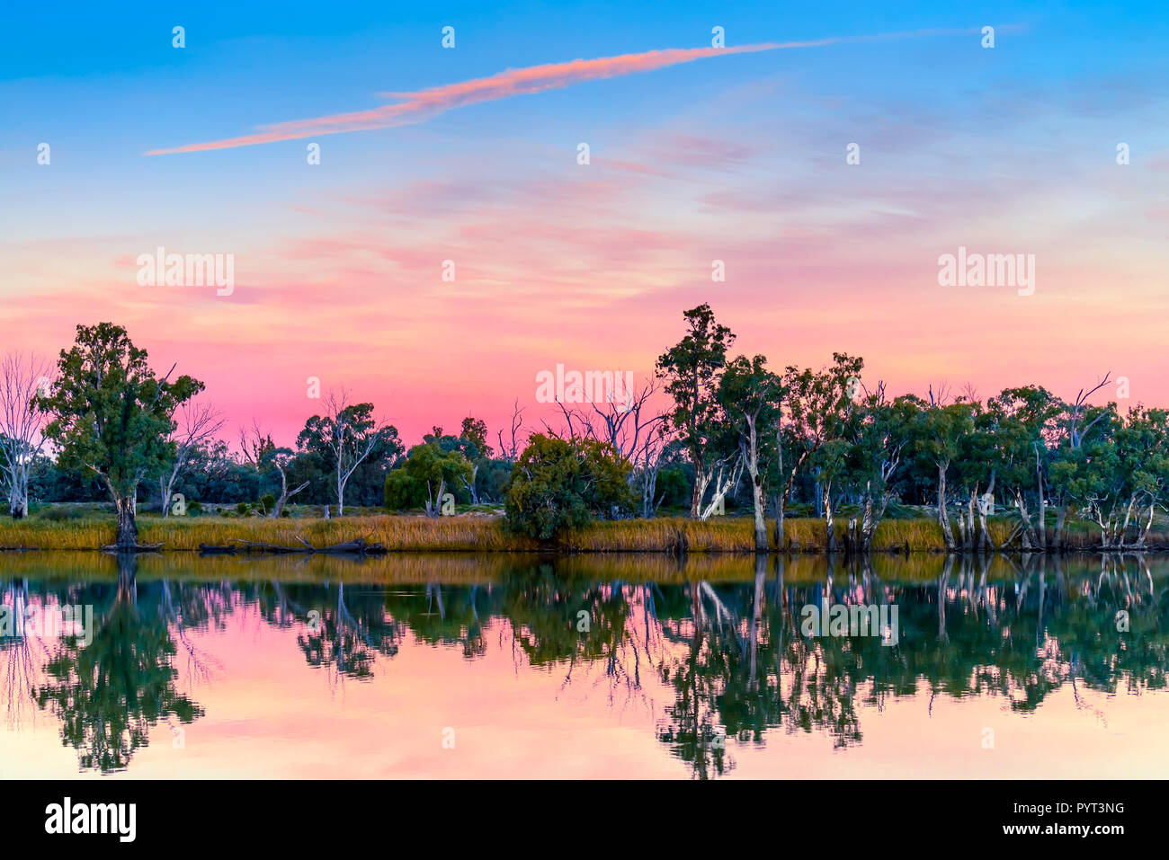 Murray river shores reflected in water at sunset, Riverland, rural