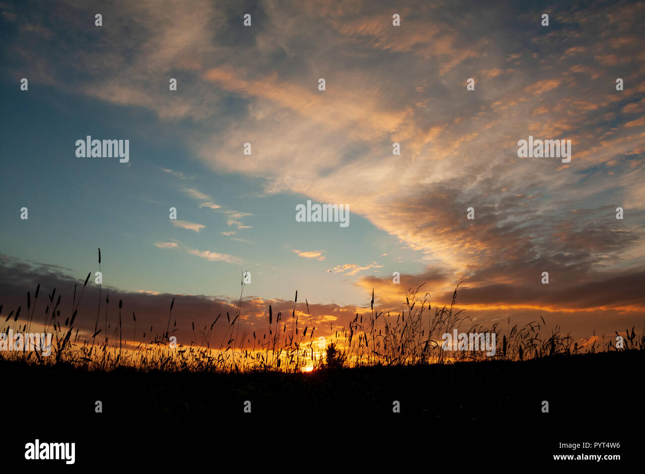 Sunset sky nature background Stock Photo - Alamy