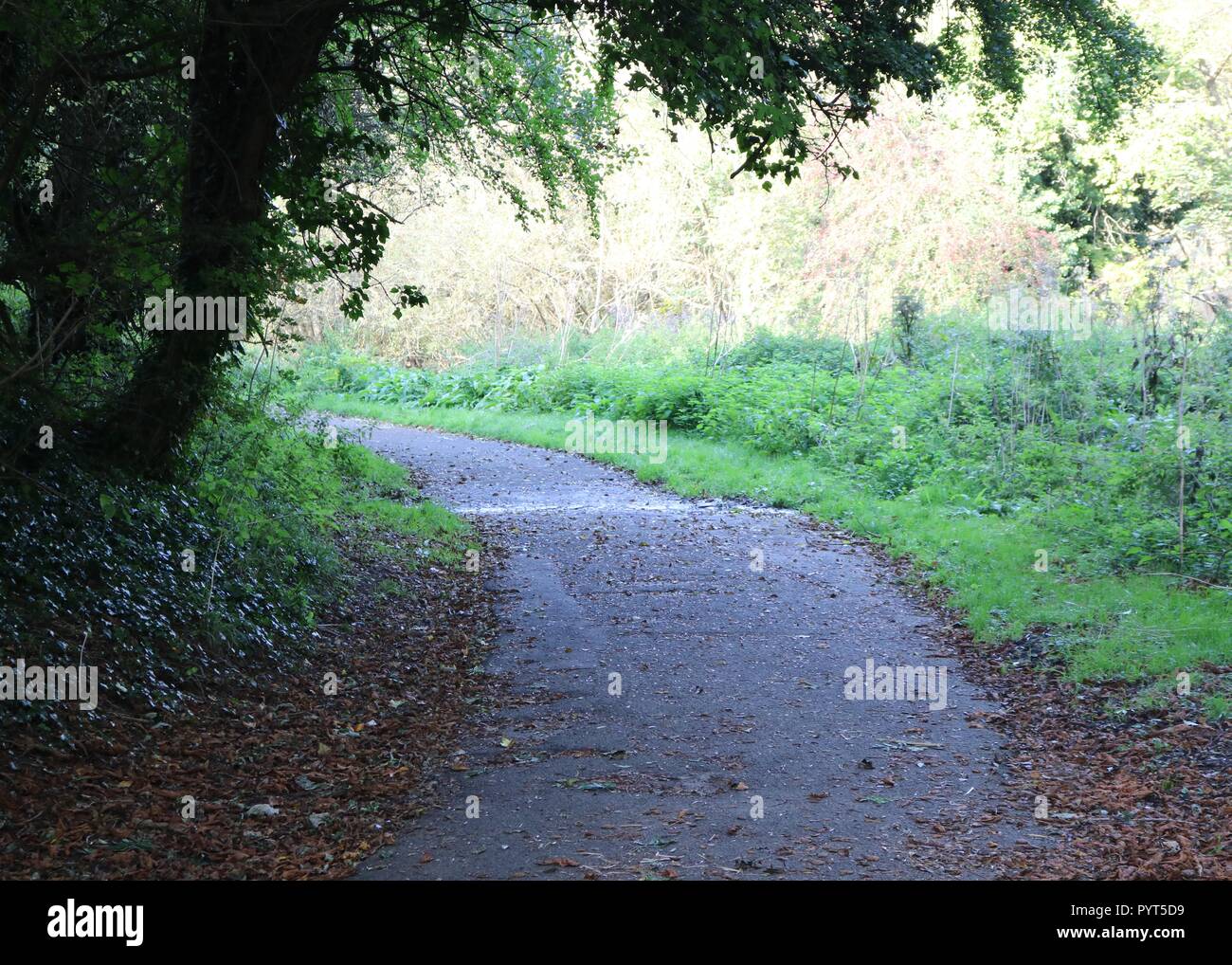 Mote Park , Maidstone , Kent Stock Photo Alamy