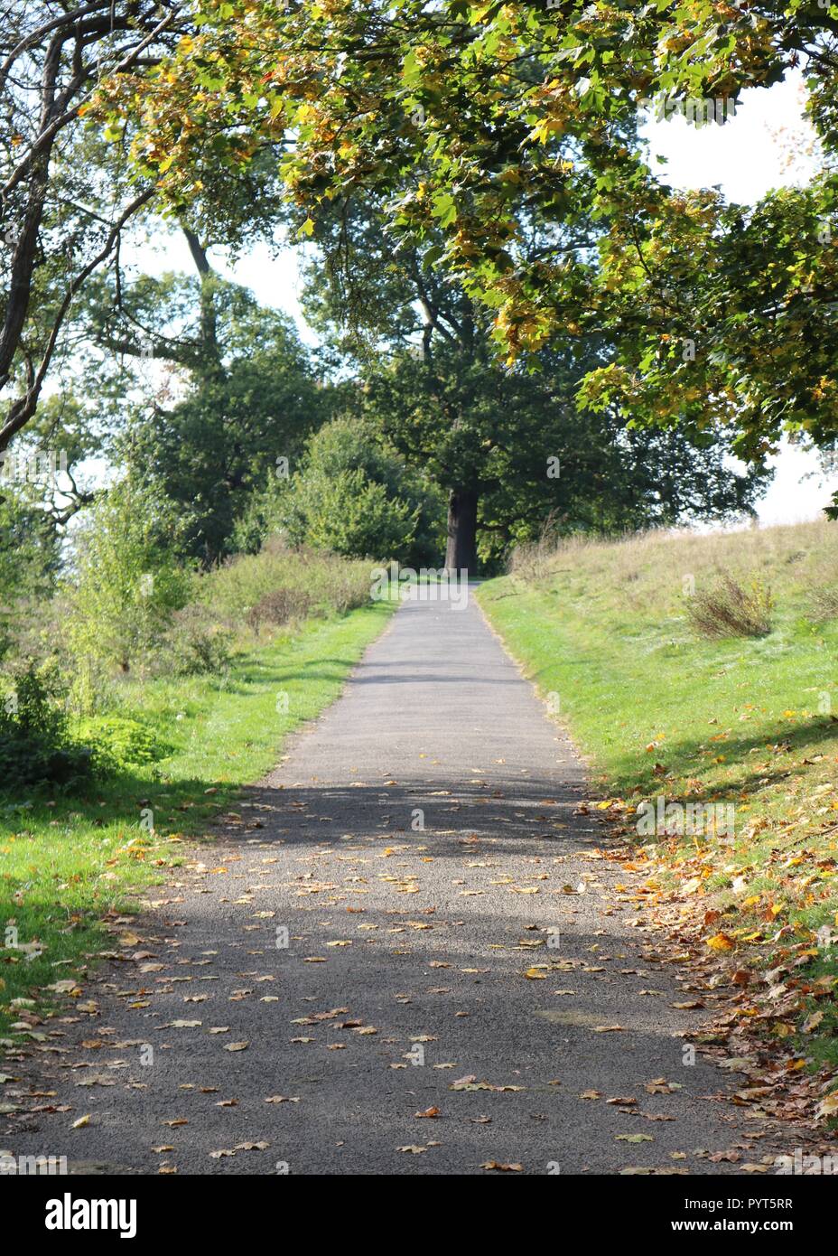 Mote Park , Maidstone , Kent Stock Photo Alamy