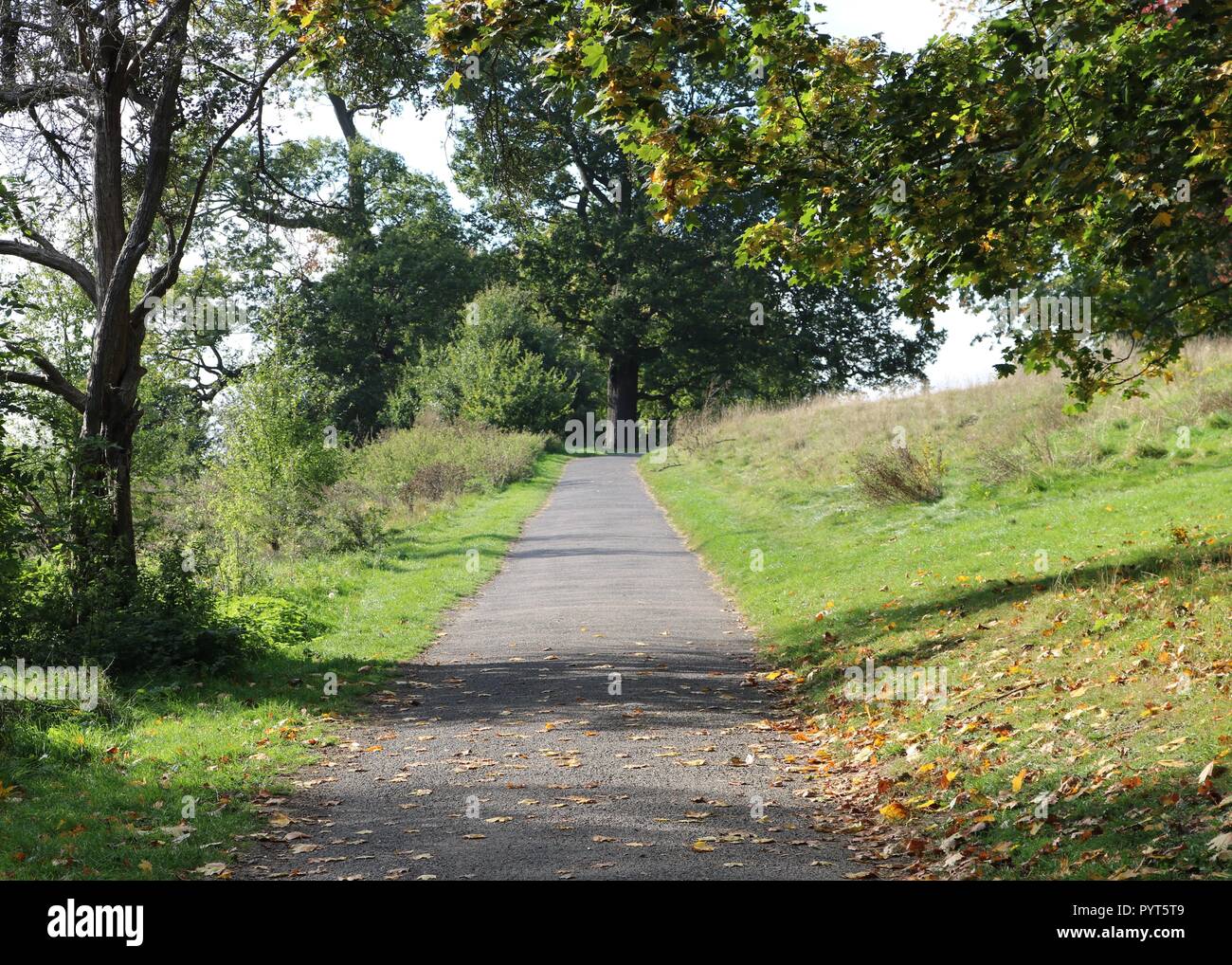 Mote Park , Maidstone , Kent Stock Photo Alamy