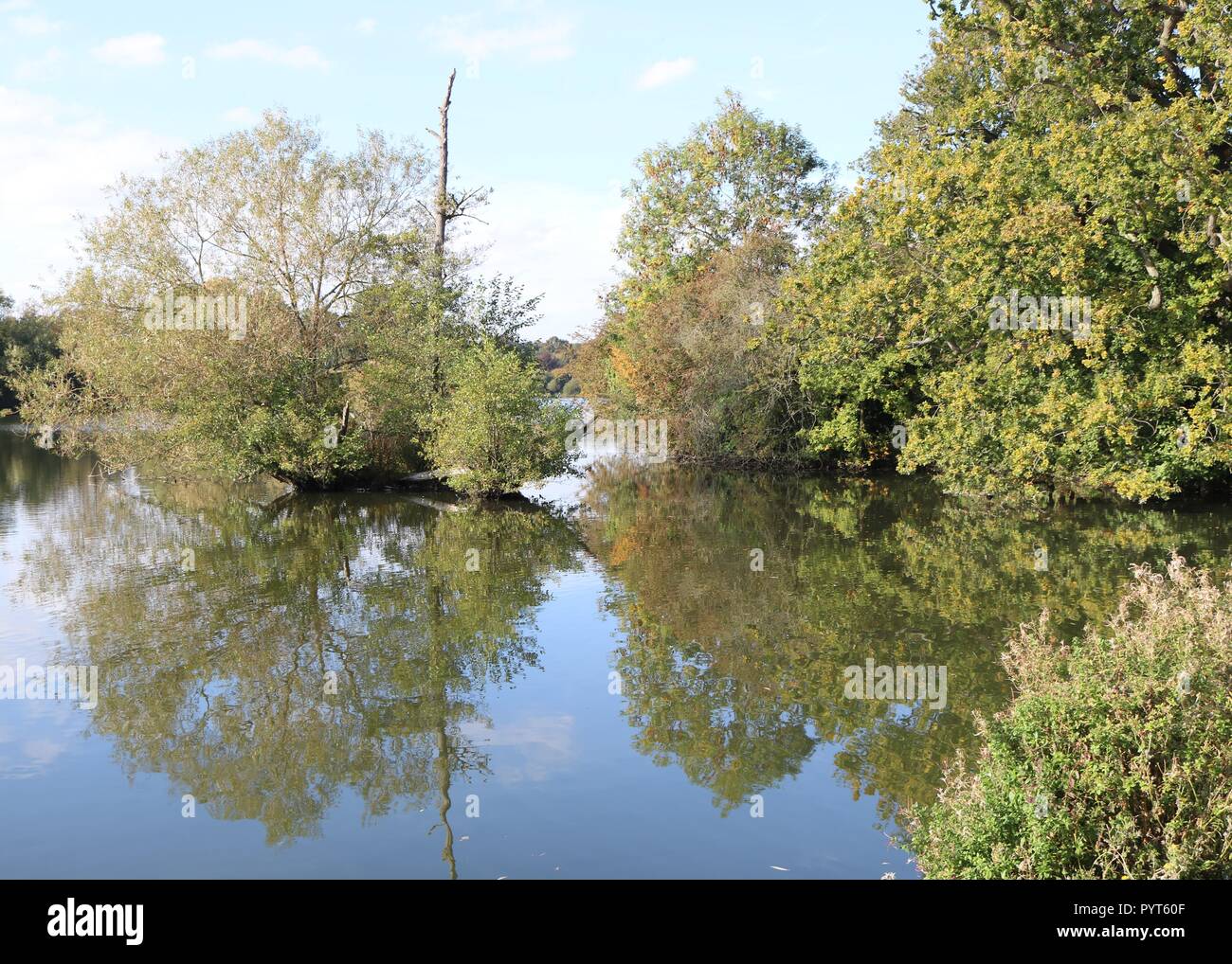 Mote Park , Maidstone , Kent Stock Photo Alamy