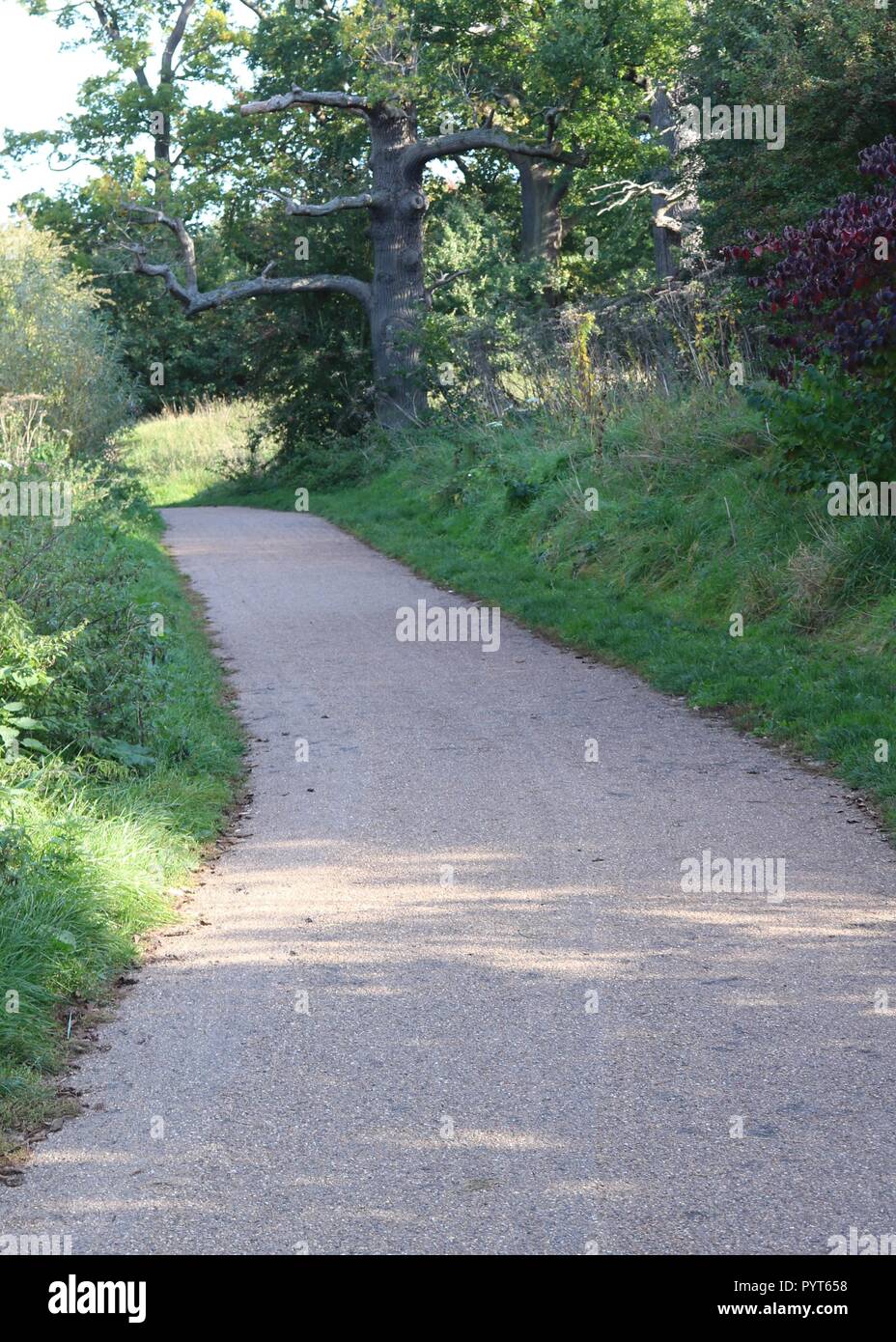 Mote Park , Maidstone , Kent Stock Photo Alamy