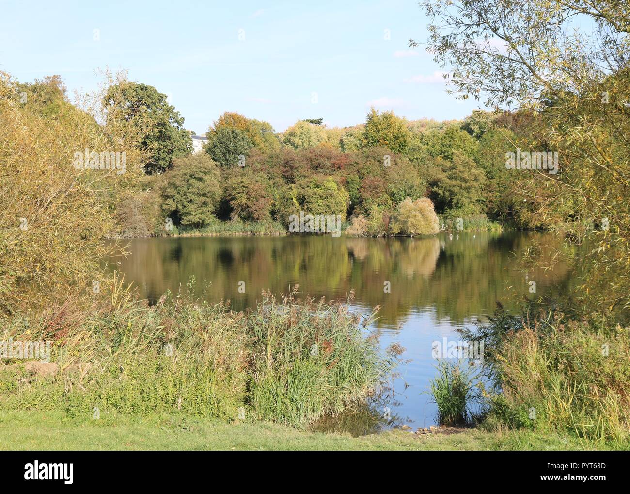 Mote Park , Maidstone , Kent Stock Photo Alamy