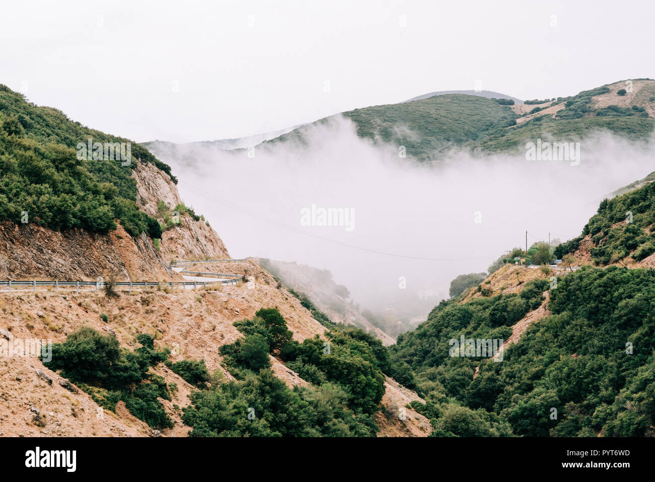 cloudy forest landscape Stock Photo