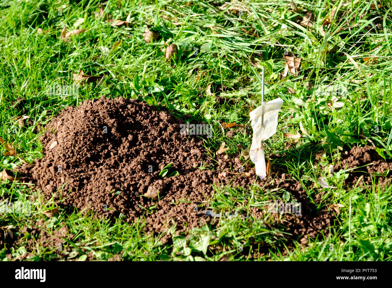 A Mole Trap. Kempley a Gloucestershire village. Stock Photo