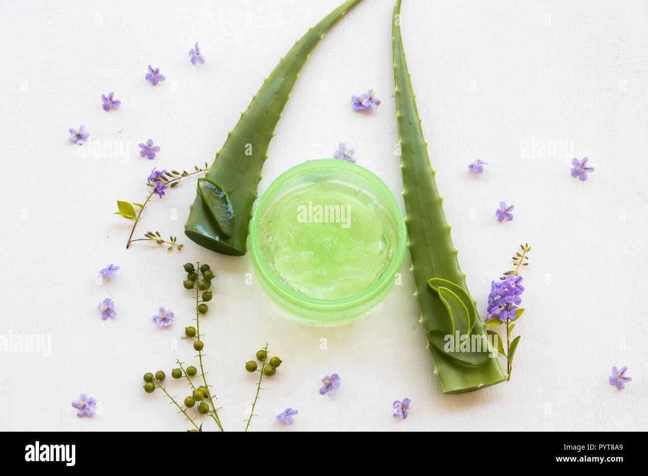 die echte aloe vera Aloe Vera (echte Aloe)