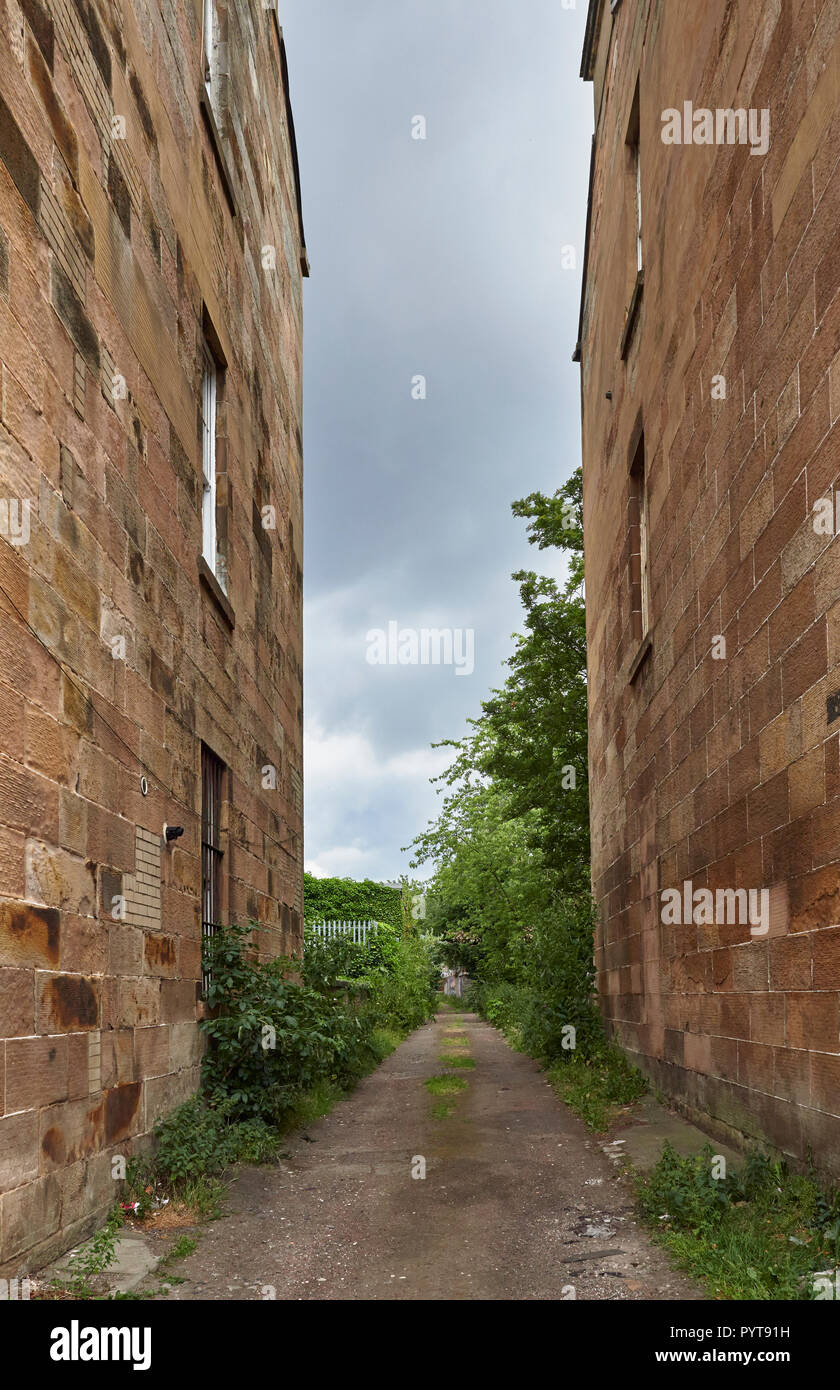 Looking through a small overgrown Alley between old Tenements in Glasgow on a grey Cloudy Summers Day. Glasgow, Scotland, UK. Stock Photo
