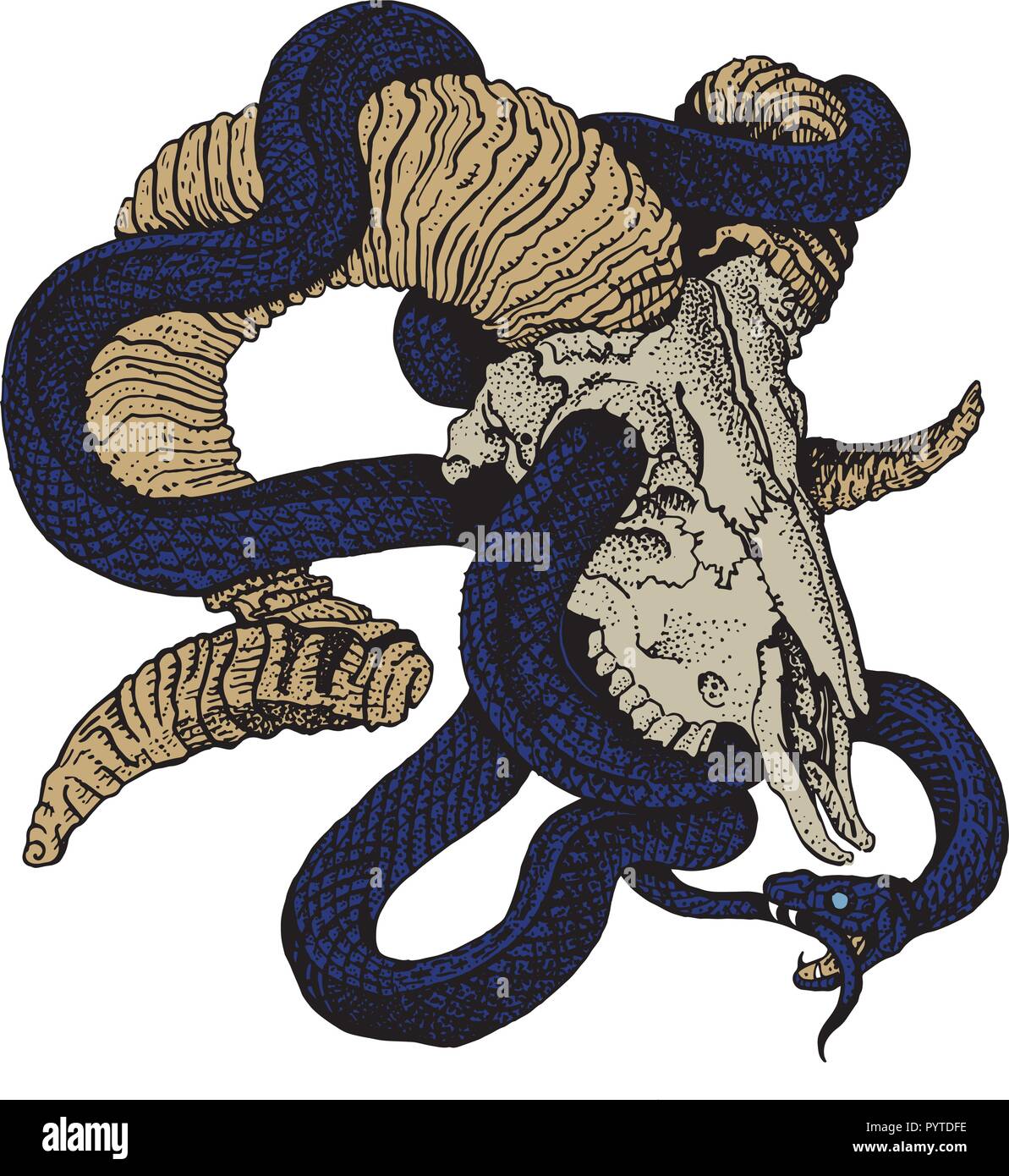 Mythological Ouroboros snake and goat skull. Hand drawn engraving style vector illustration. Sticker, poster, t shirt print, tattoo design. Rock, heav Stock Vector