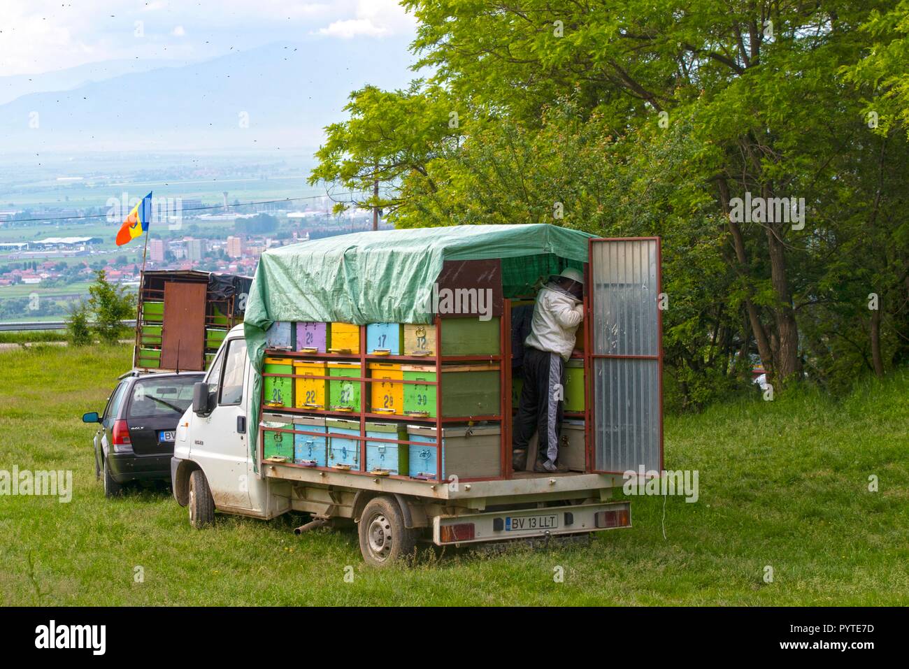 ROMANIA SIBIU, Bee keeper checks his beehives in his mobile 'beehive truck' Stock Photo