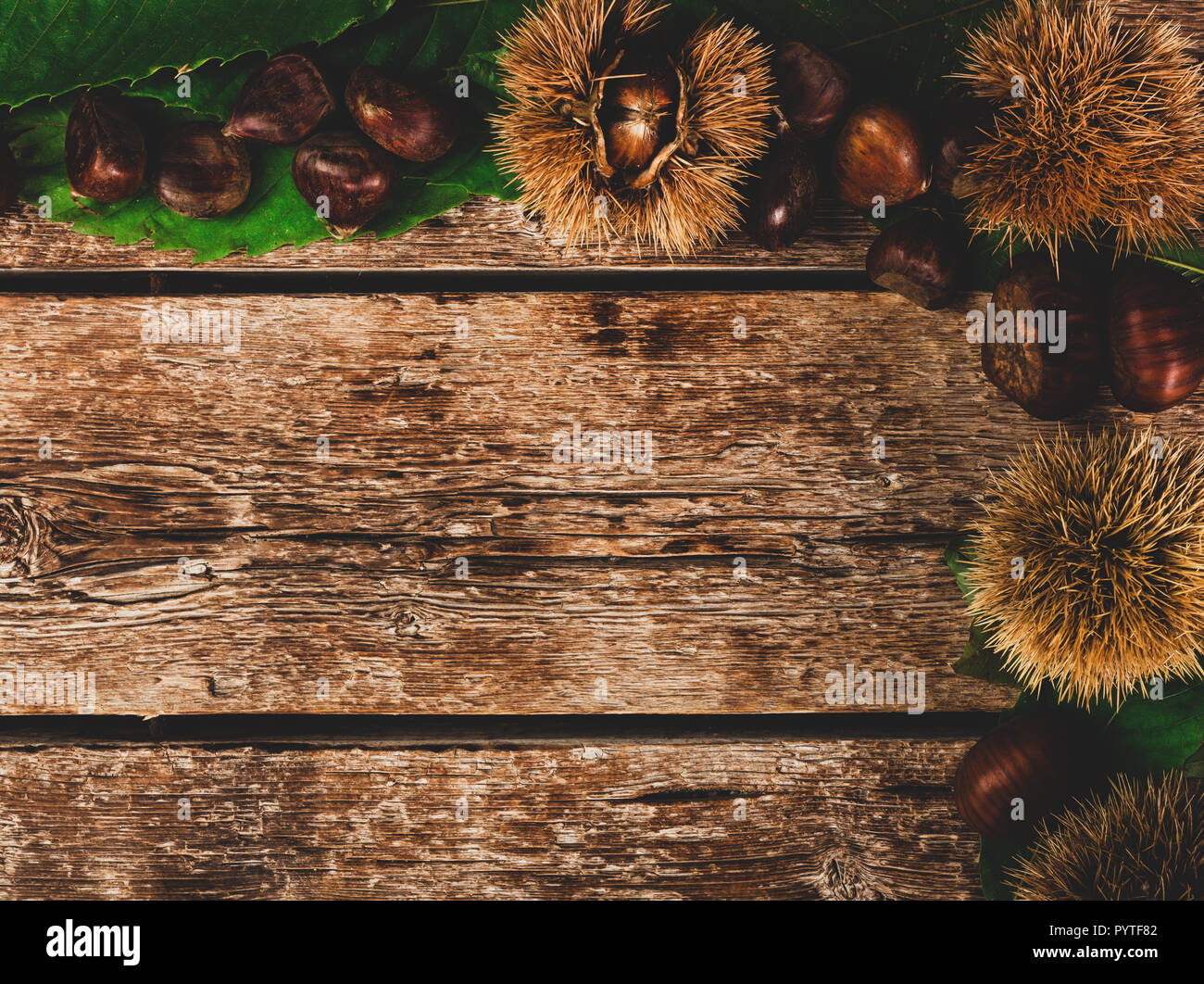 Frame of chestnuts, leaves and chestnut bur on wooden table. Stock Photo