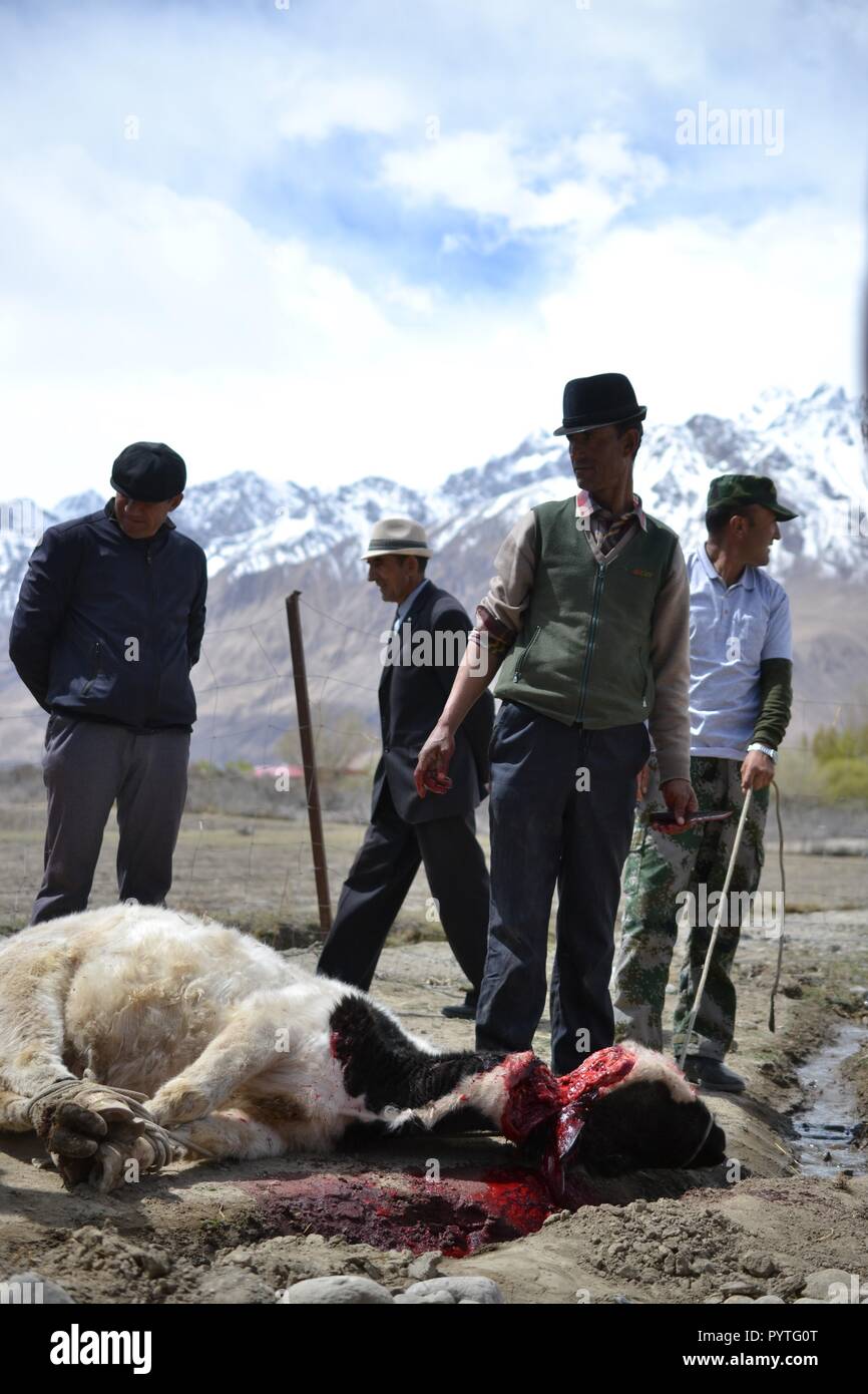 Tajikistan people wedding, Tashkurgan Xinjiang China Stock Photo - Alamy