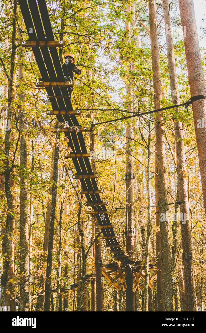 Tree top trail. path in the tress. Active sports. Recreation. Autumn