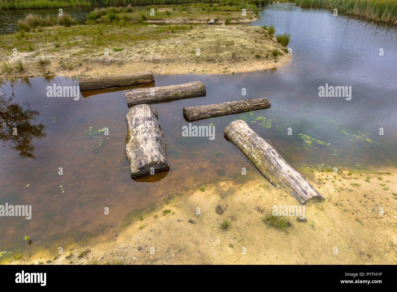 Pattern of Logs as Stepping stones in public pond of park as part of playground for children. Concept for the difficulties disabled people will face i Stock Photo
