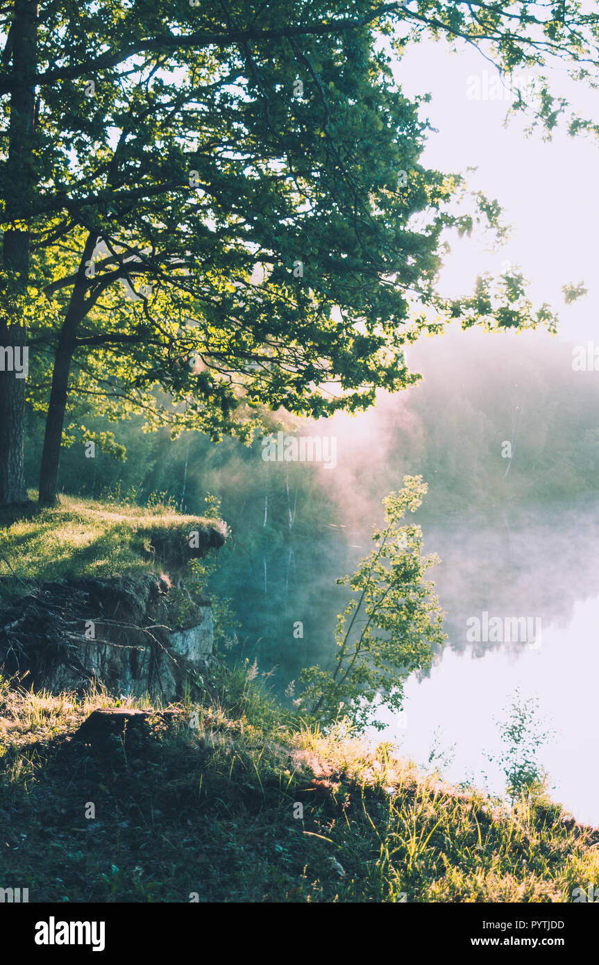 Beautiful sunny morning. White fog lays over the river. Stock Photo