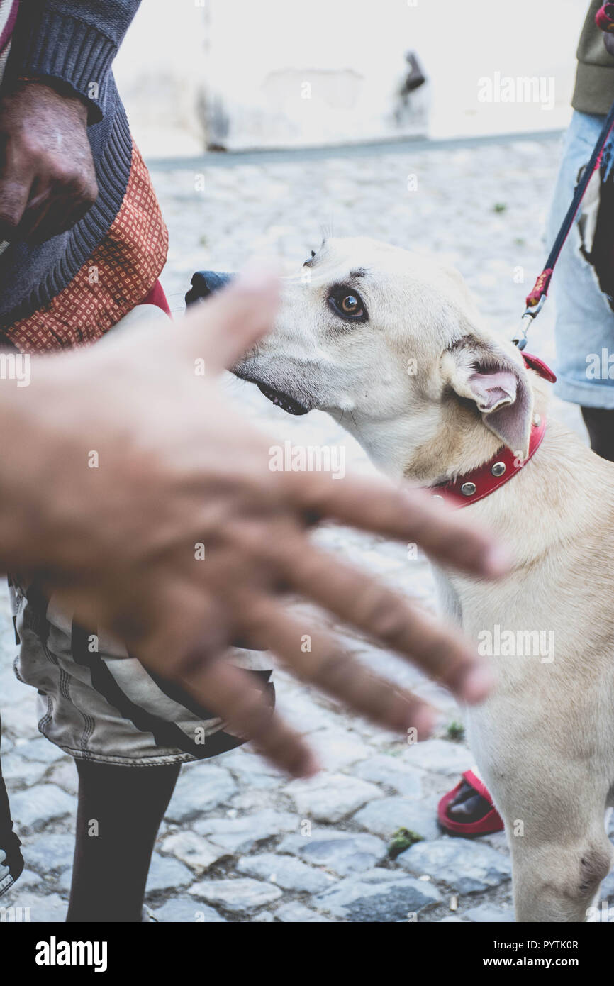 Make a deal Stock Photo - Alamy