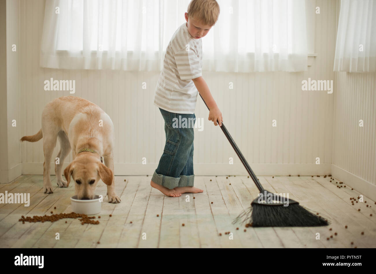 Young Boy sweeping up dog biscuits as dog is eating out of bowl. Stock Photo