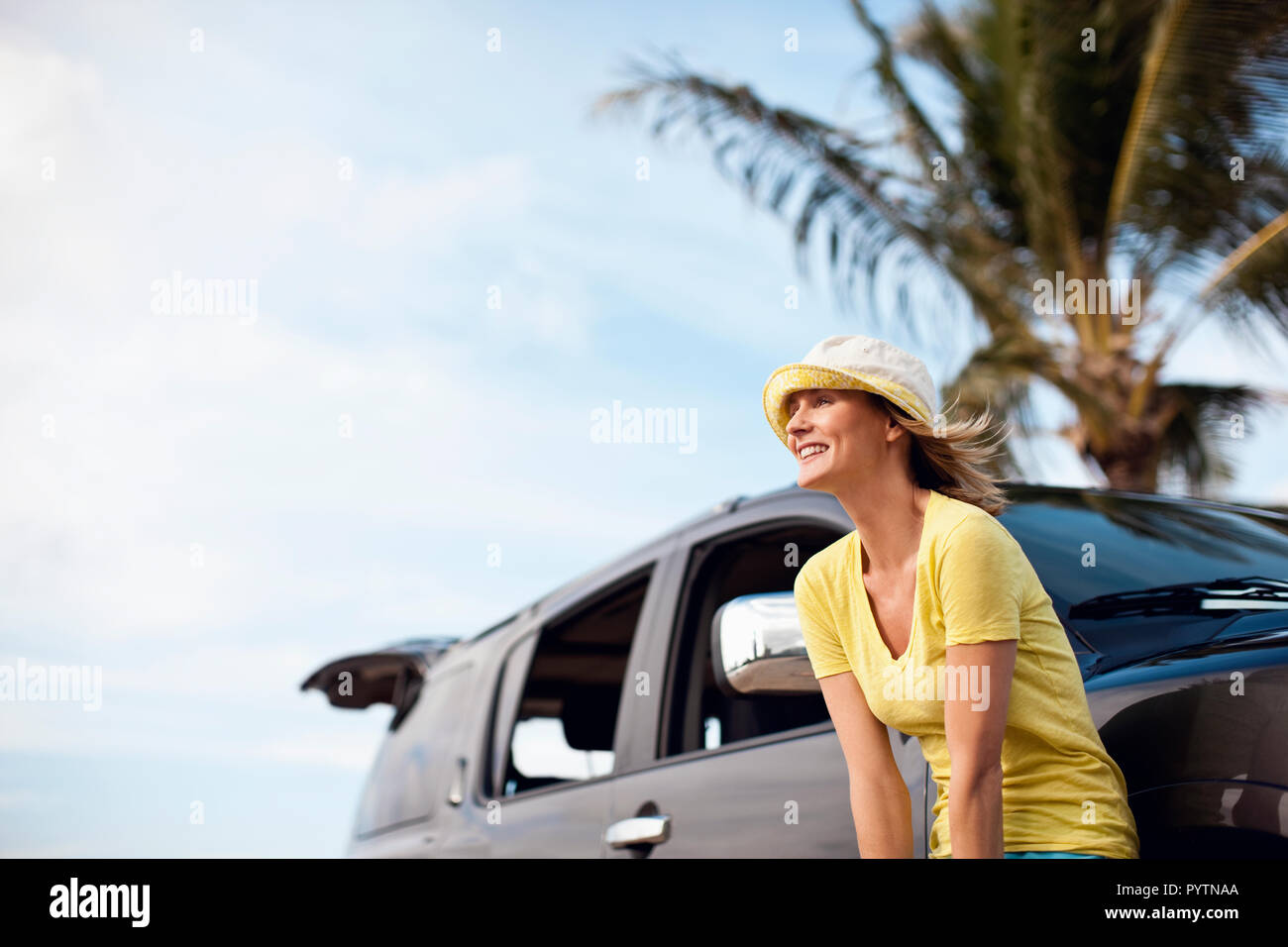 Wind swept palm tree hi-res stock photography and images - Alamy