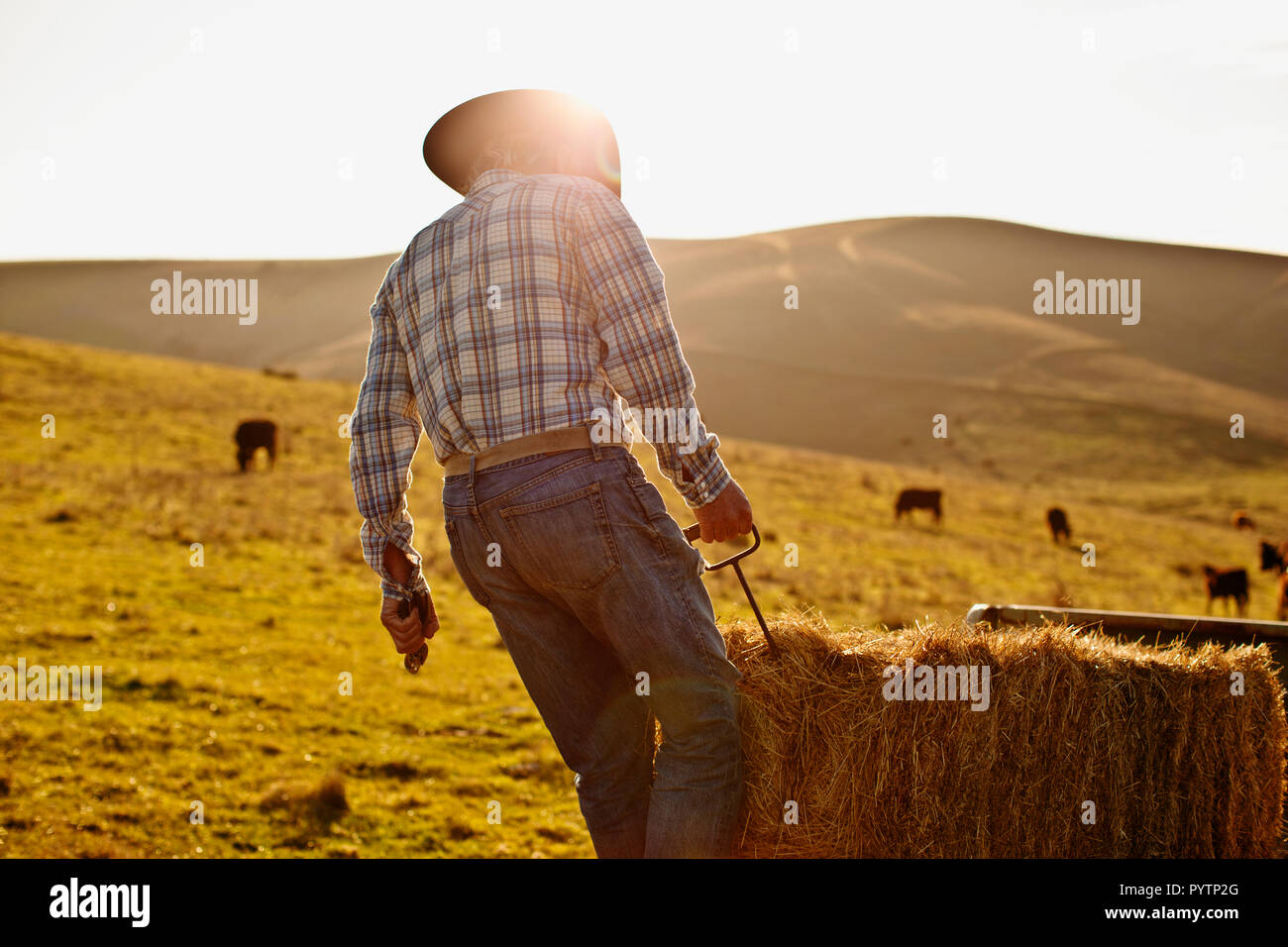 Sun hats men hi-res stock photography and images - Page 13 - Alamy