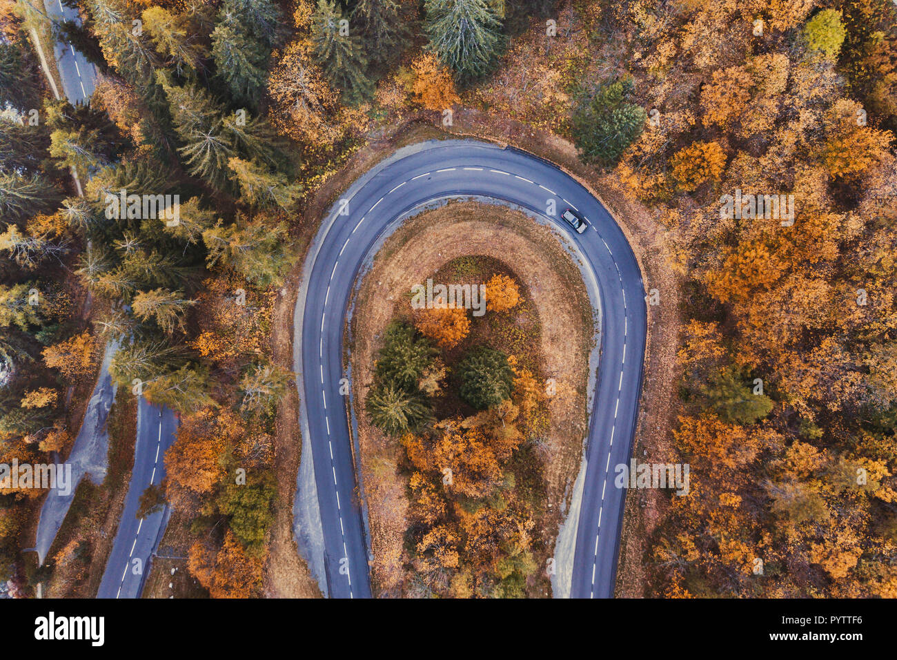 Beautiful road in autumn forest. Aerial landscape of fall season, top view of car driving on mountain serpentine by drone. Stock Photo