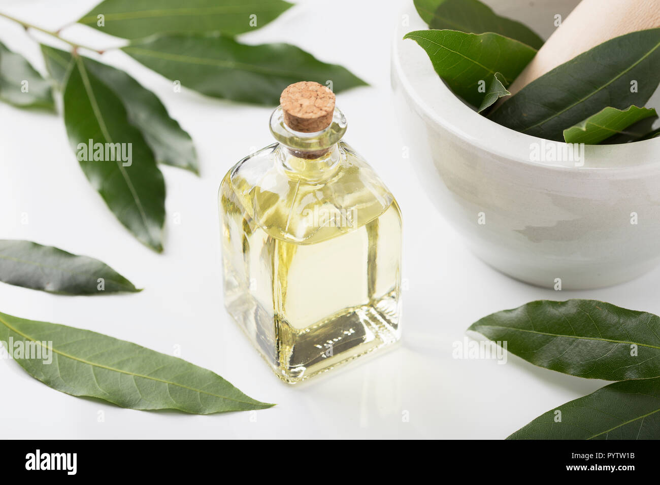 Bay laurel essential oil with tag. Aromatheraphy, spa, herbal remedies. Laurus nobilis Stock Photo