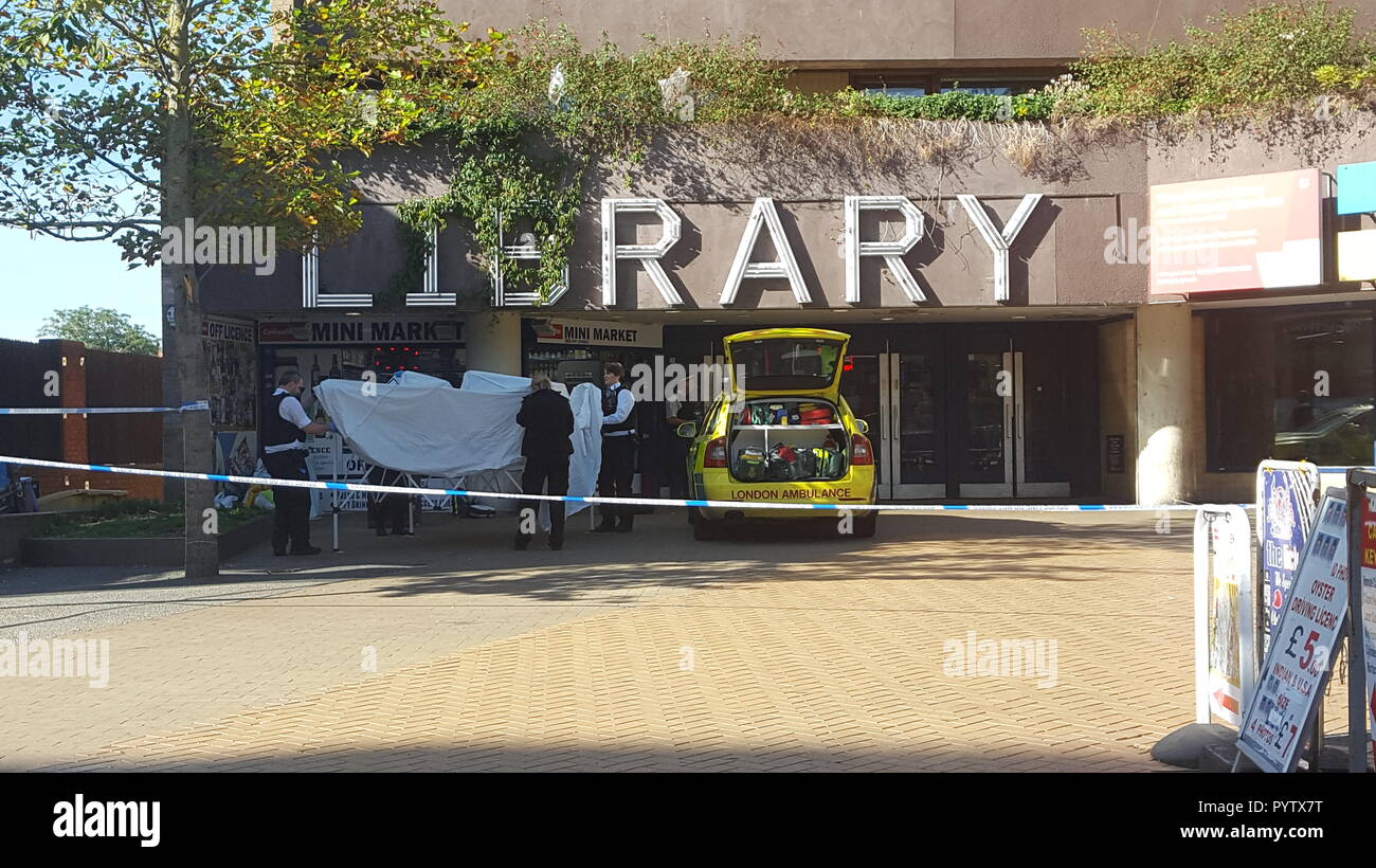 Police in north London investigate the discovery of a body outside Wood