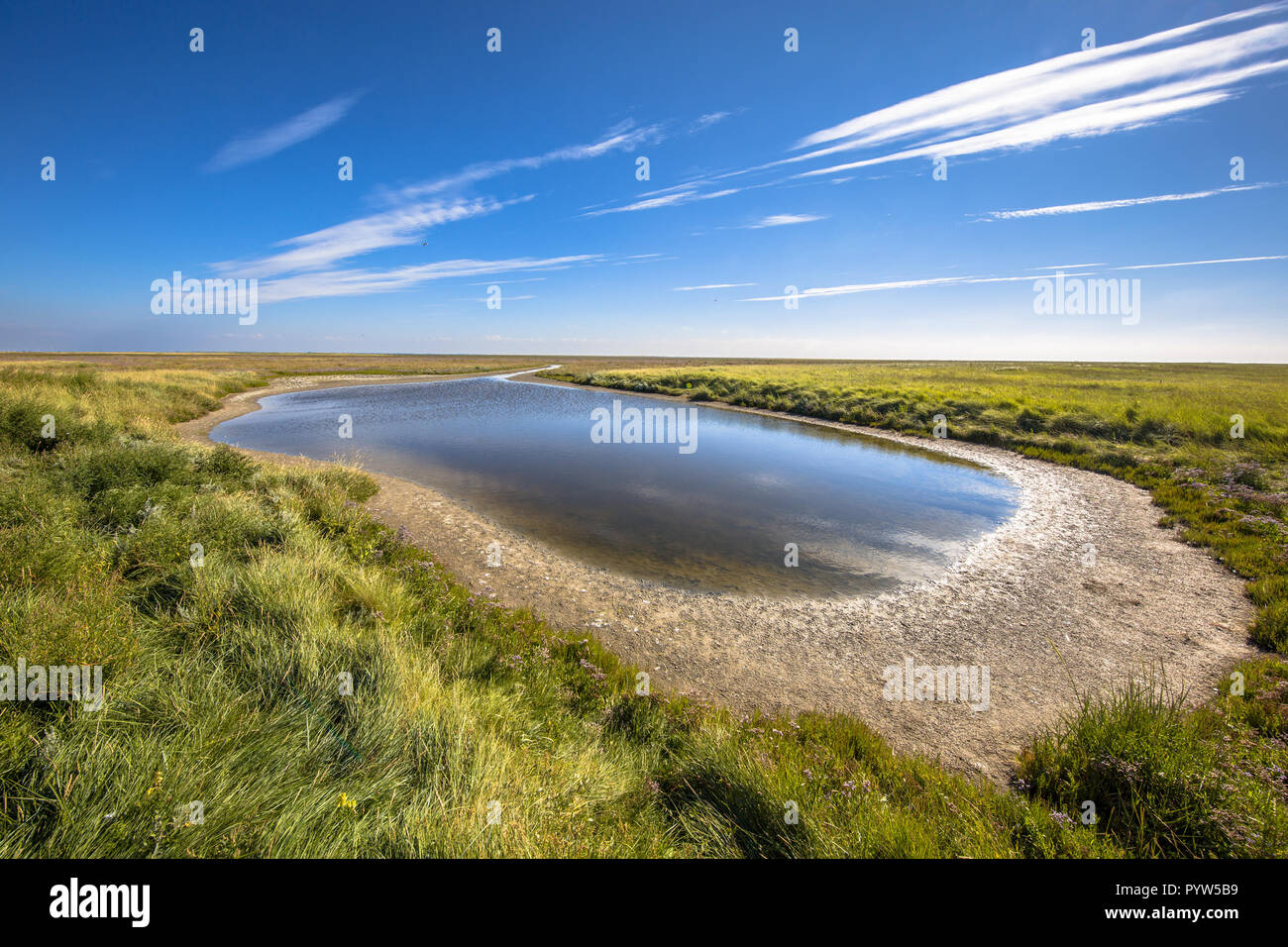 Saltmarsh landscape on rottumeroog in the Wadden sea Netherlands Stock Photo