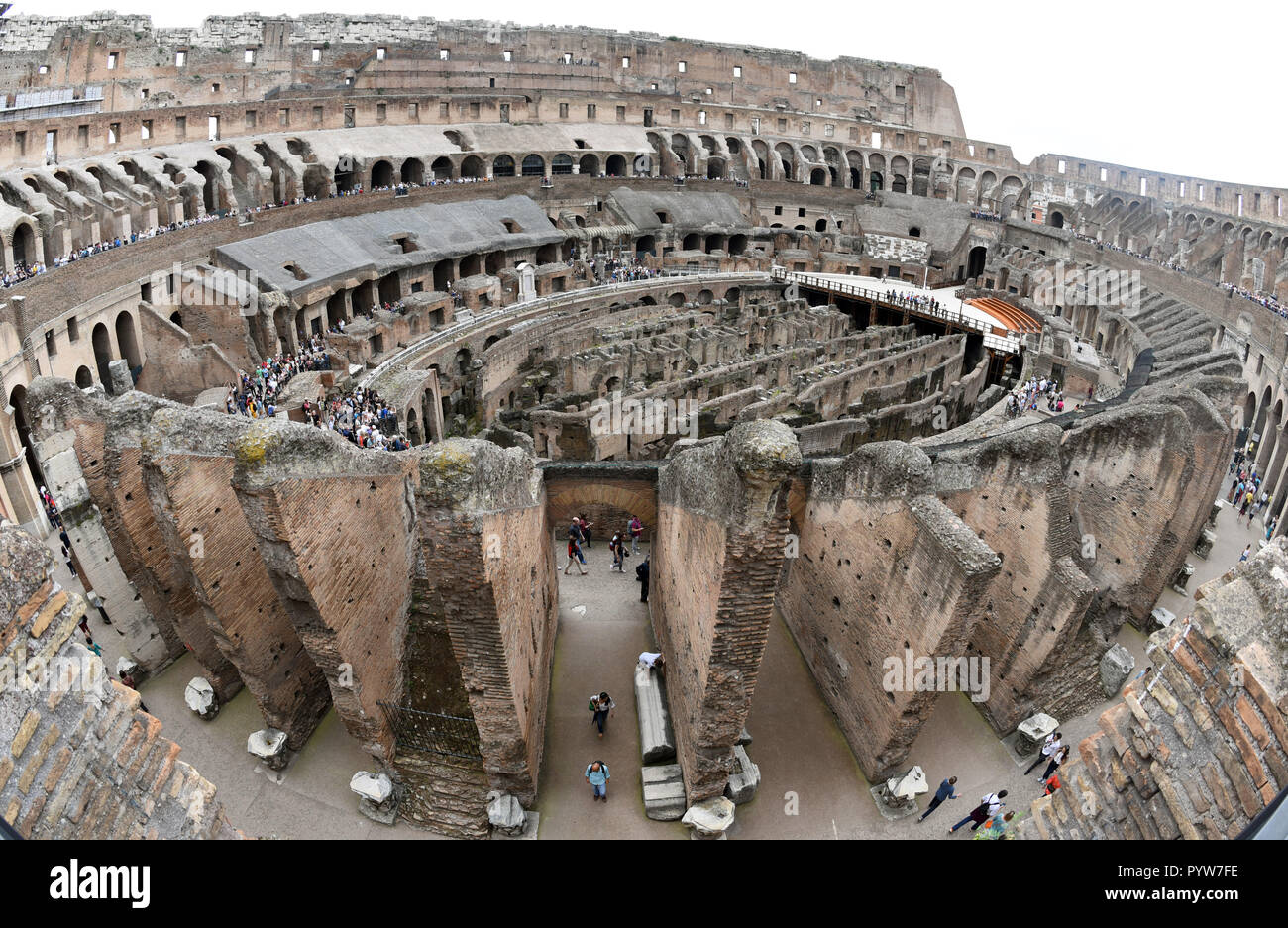 Rome colosseum animal hi-res stock photography and images - Page 3 - Alamy