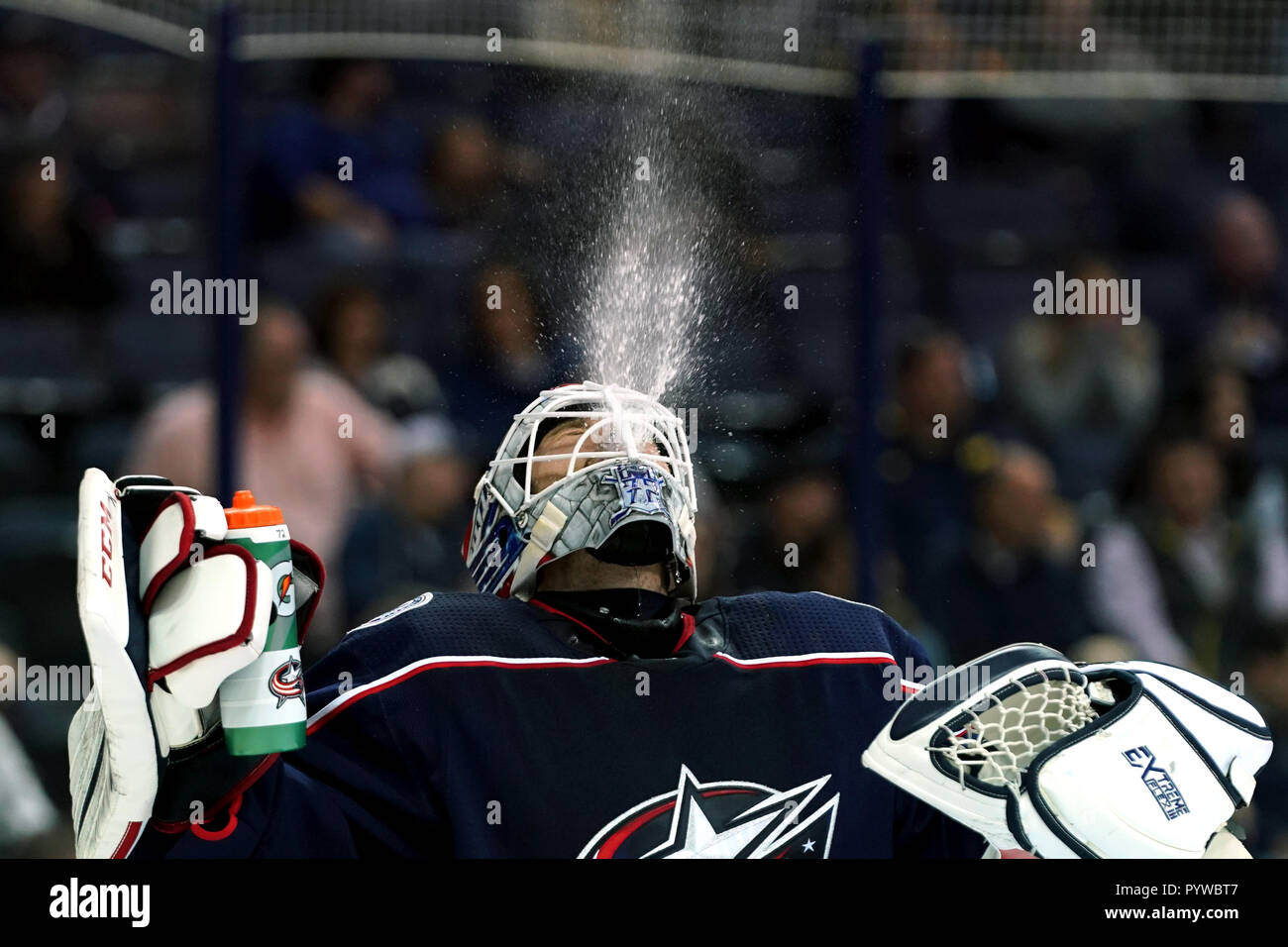 390 Sergei Bobrovsky Headshot Stock Photos, High-Res Pictures, and Images -  Getty Images