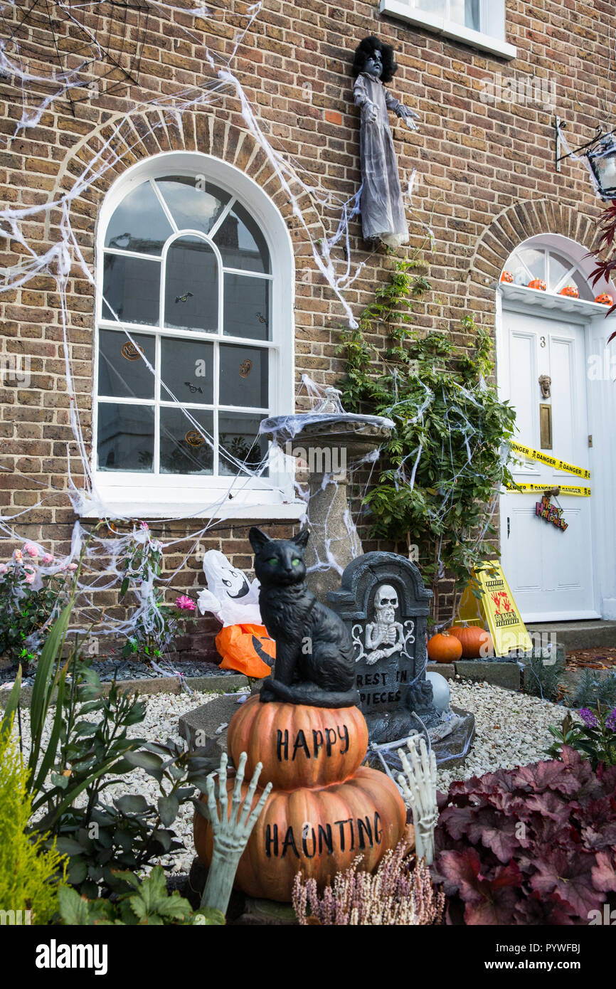 British house spiders hires stock photography and images Alamy