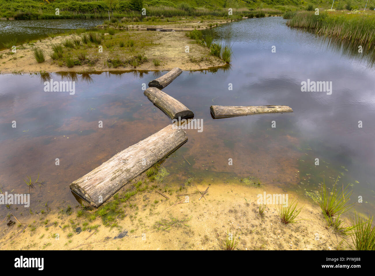 Logs as Stepping stones in public pond of park as part of playground for children. Good training to improve locomotion skills and dexterity Stock Photo