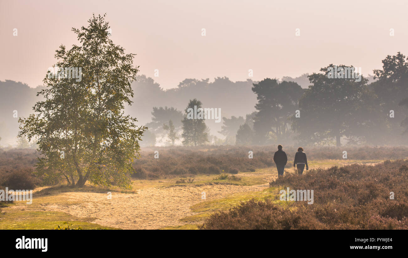 Couple walking along path through heathland on a morning in october under autumn light. Otterlo, Hoge Veluwe, the Netherlands Stock Photo