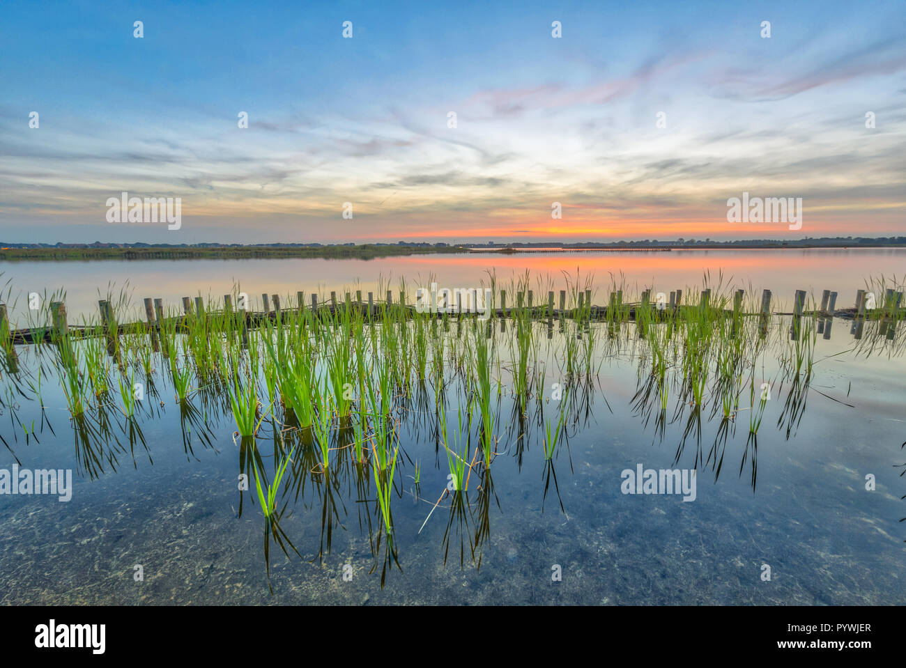 Sunset over lake with shore protection and riparian zone to create a natural ecological zone along lakes and riverbanks Stock Photo