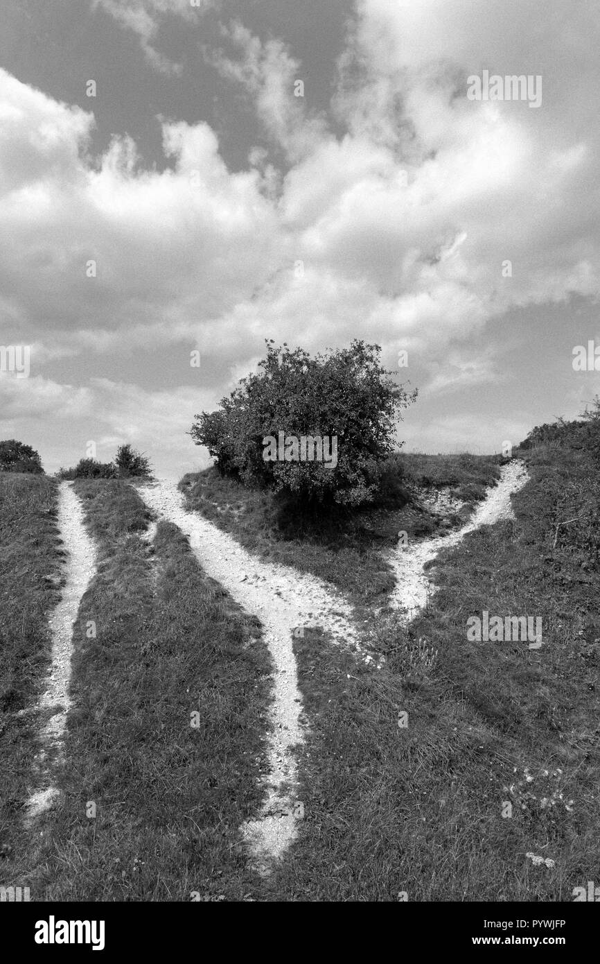 Iron age hill fort, St Catherine s hill, Winchester, Hampshire, England, UK, GB. Stock Photo