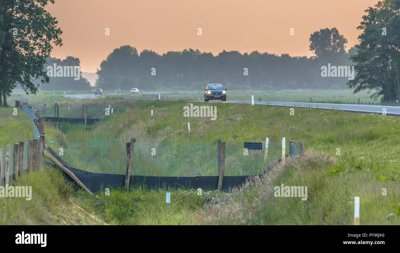 Fences leading to wildlife culvert road crossing providing safe passage for wild animals under a highway in the Netherlands Stock Photo